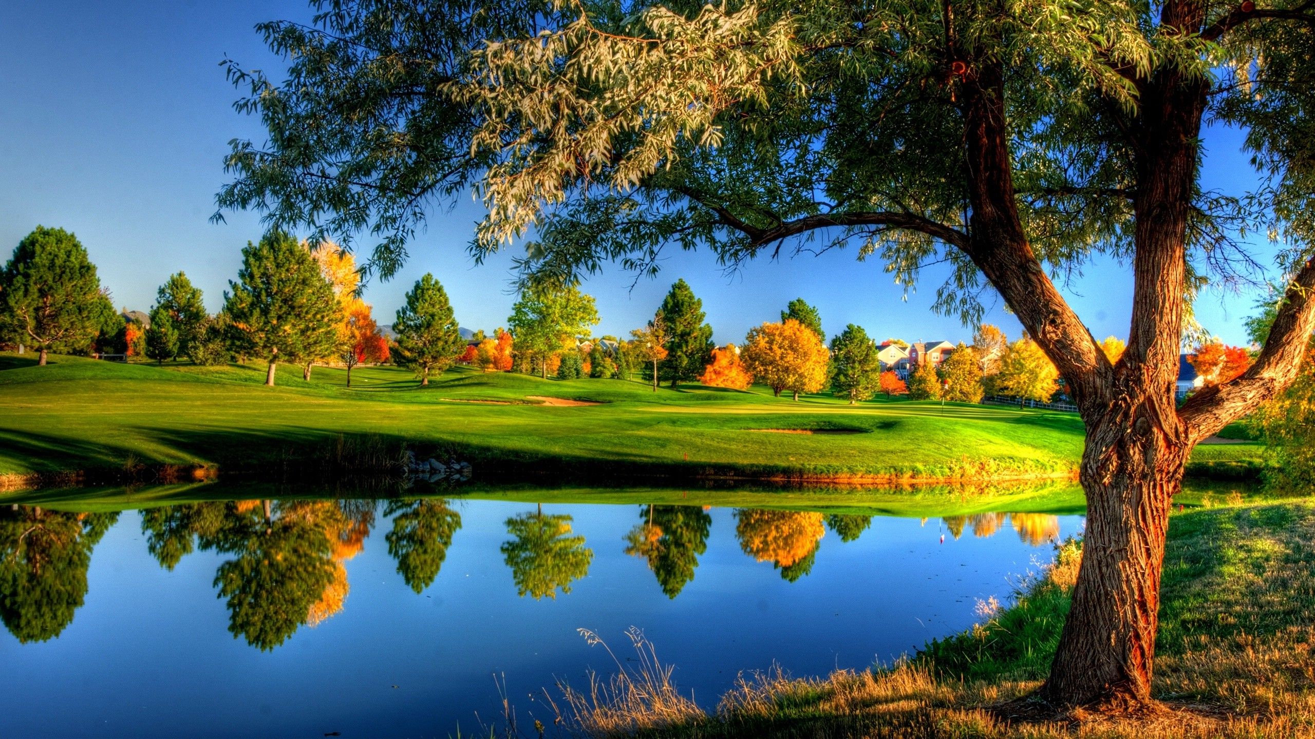2560x1440 nature, Landscape, Trees, Grass, Fall, Colorful, Water, River, HDR, House, Reflection Wallpaper HD / Desktop and Mobile Background