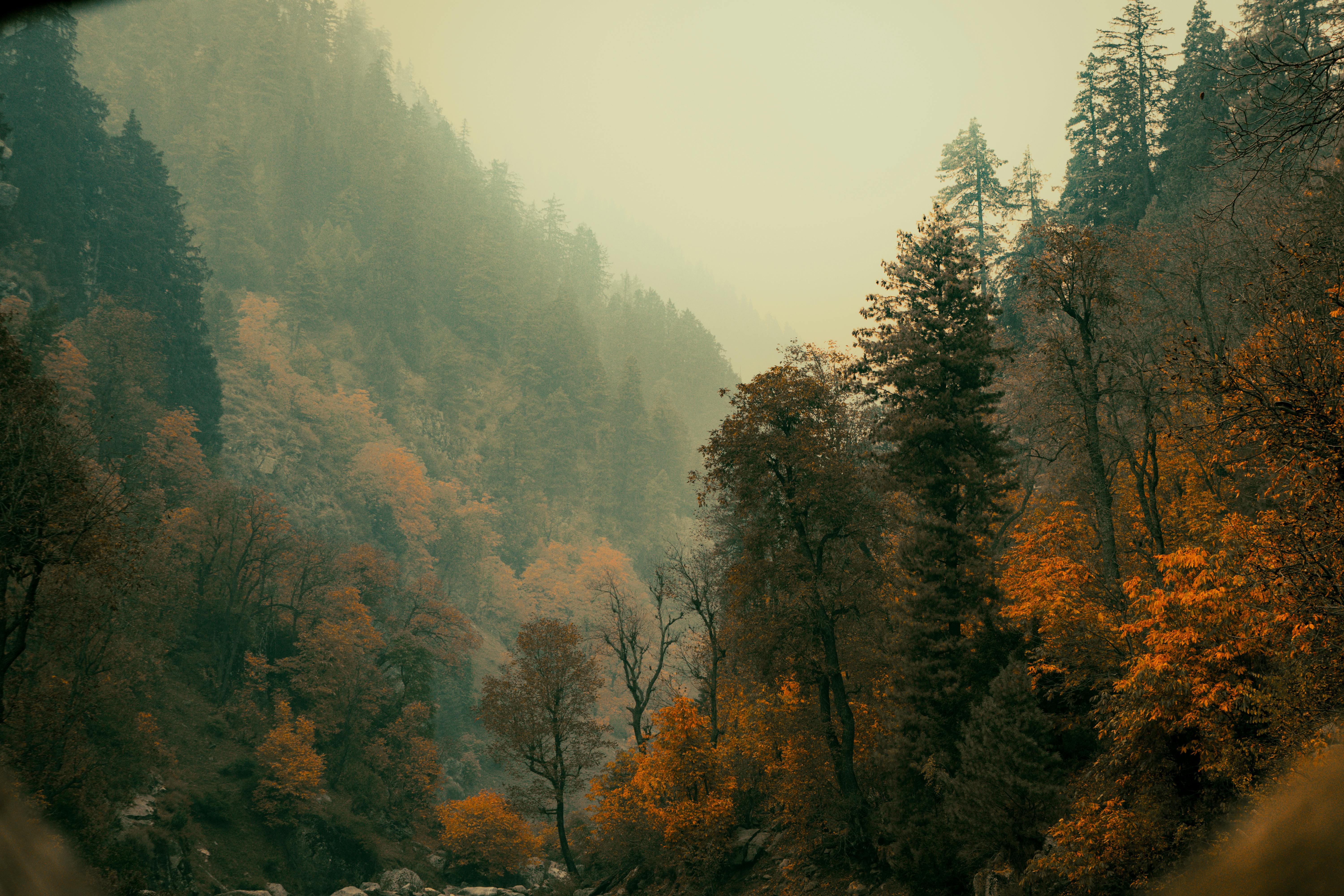 6000x4000 Best Nature Wallpaper Photo · 100% Free Downloads