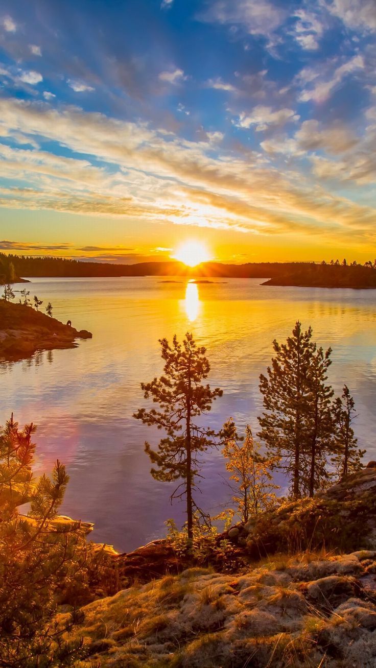 736x1308 Wallpaper lake, trees, forest, sun, sunset, clouds, sky, nature, Nature 4K by Alex. Download wallpaper lake, trees, forest, sun, sunset, clouds, sky, nature for free