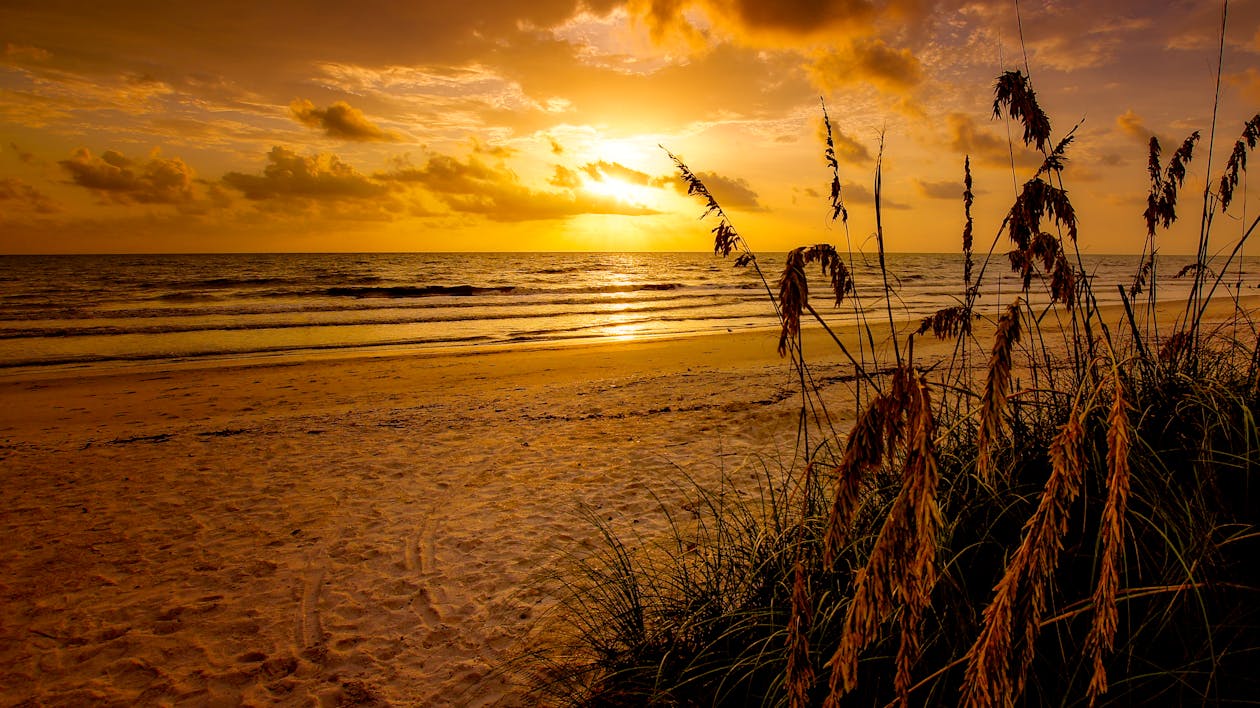1260x708 Golden Sunset Over Serene Beach Landscape · Free