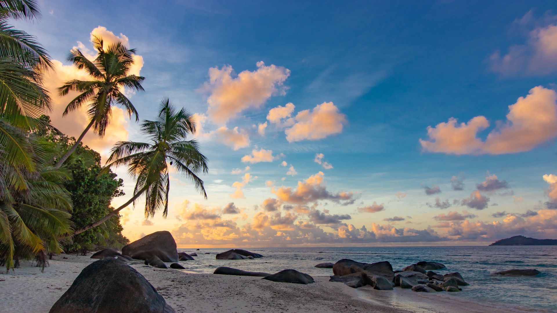 1920x1080 Download wallpaper 1920x1080 beach, palm trees, sea, nature, landscape full hd, hdtv, fhd, 1080p HD background