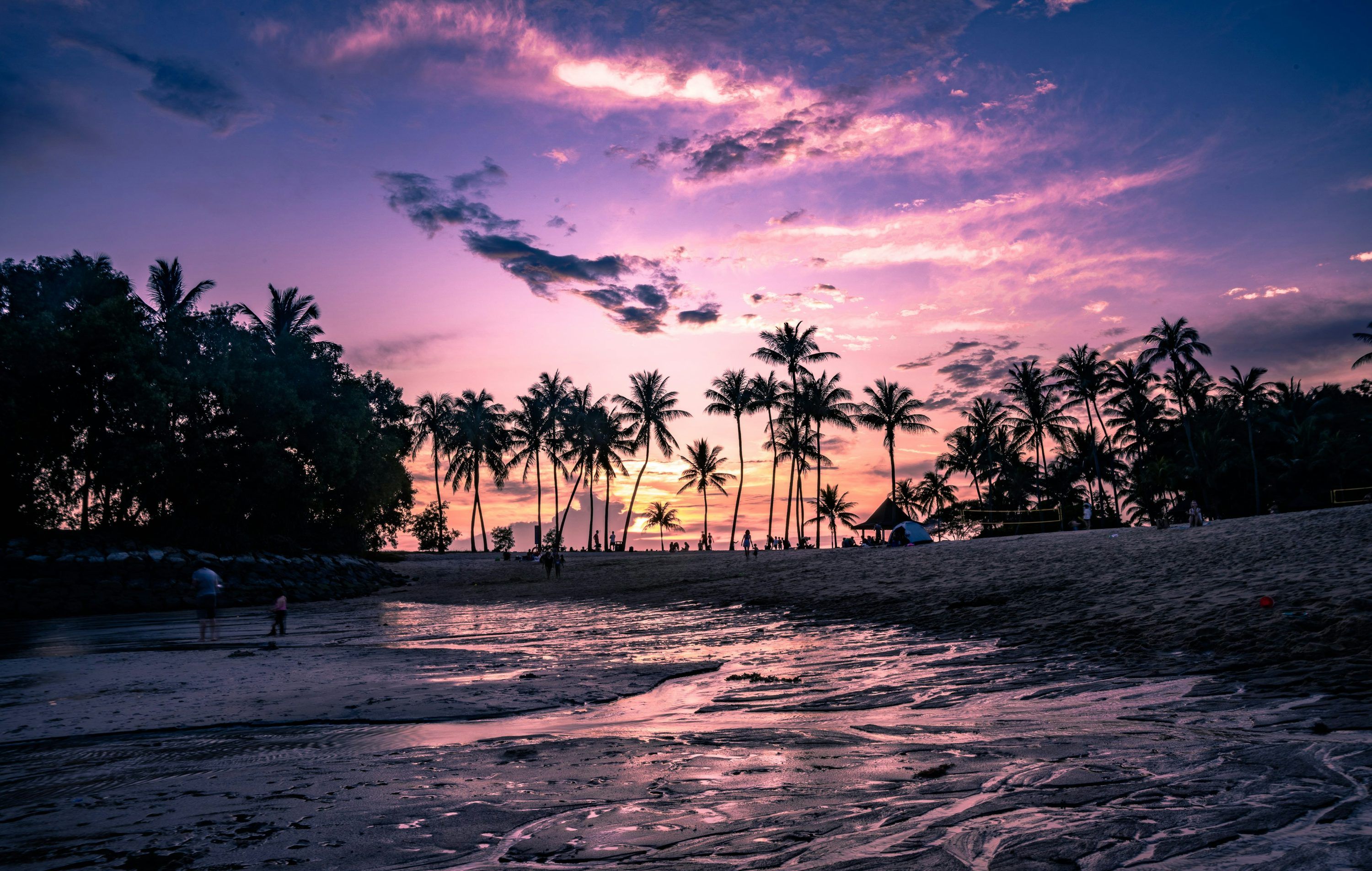3000x1904 A beach with palm trees and a body of water photo