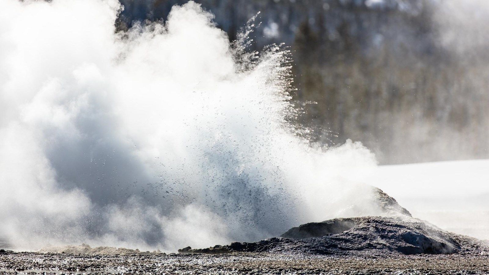 1600x900 Comet Geyser (U.S. National Park Service)
