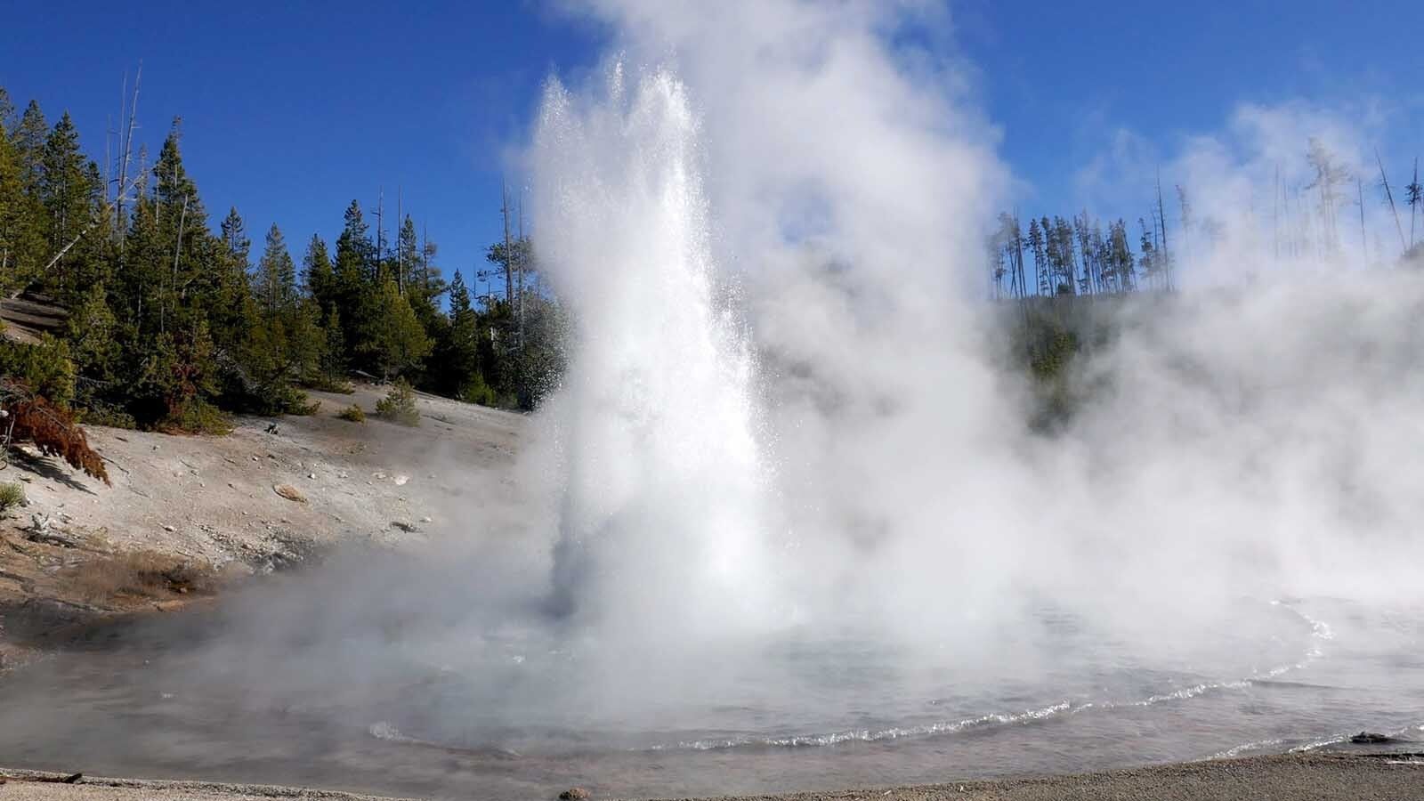 1600x900 The World's Largest Acidic Geyser In Yellowstone Reawakens, Erupts 60 Times. Cowboy State Daily