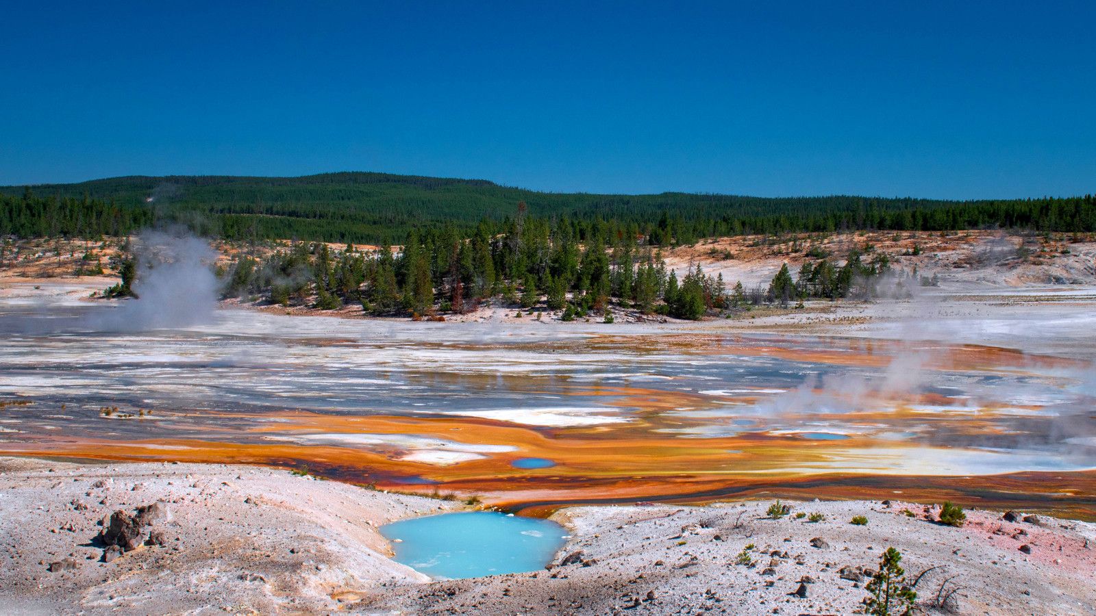 1600x900 Yellowstone National Park's Most Acidic Natural Wonder Returns After Years Of Silence