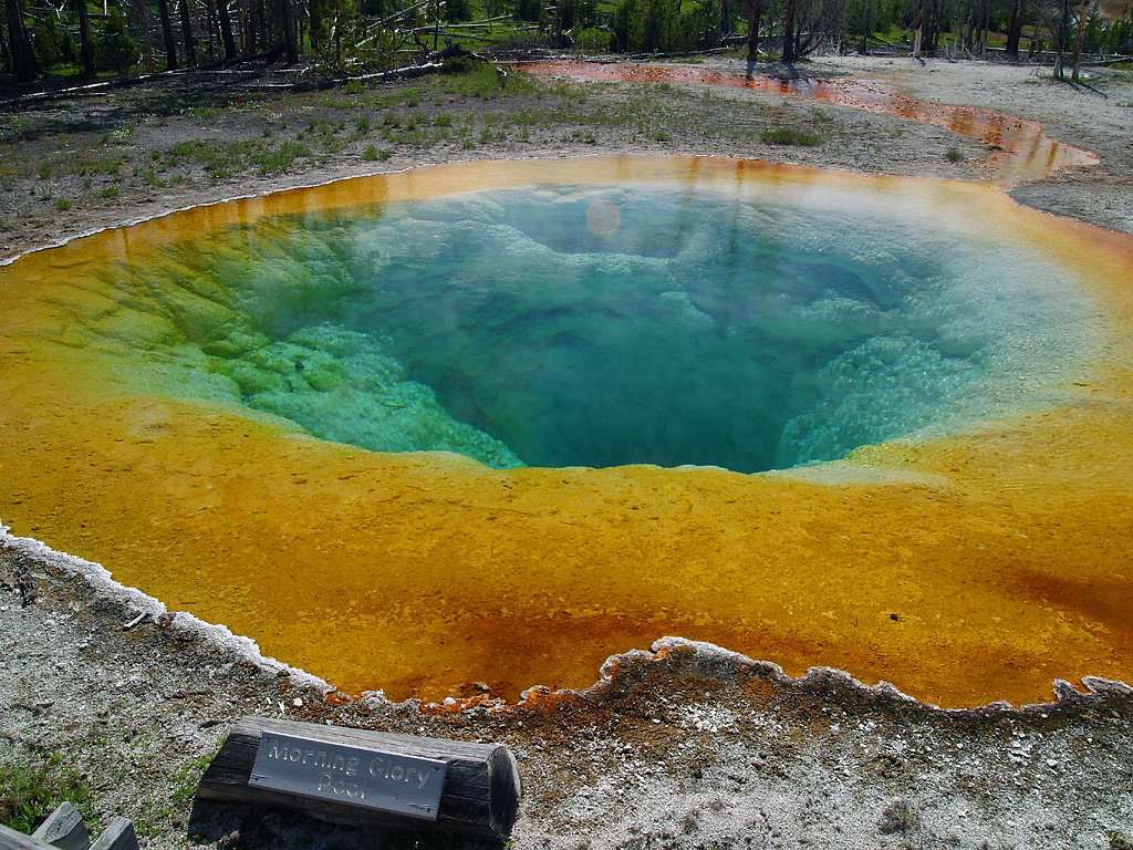 1024x768 Morning Glory Pool at Yellowstone National Park, Wyoming image Domain photo