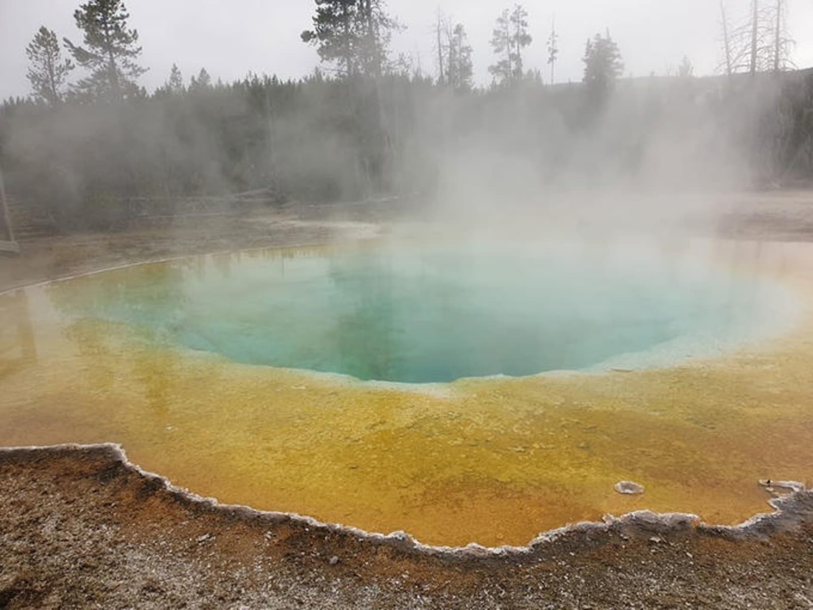 1600x1200 Discovering Yellowstone National Park. Flight Centre UK