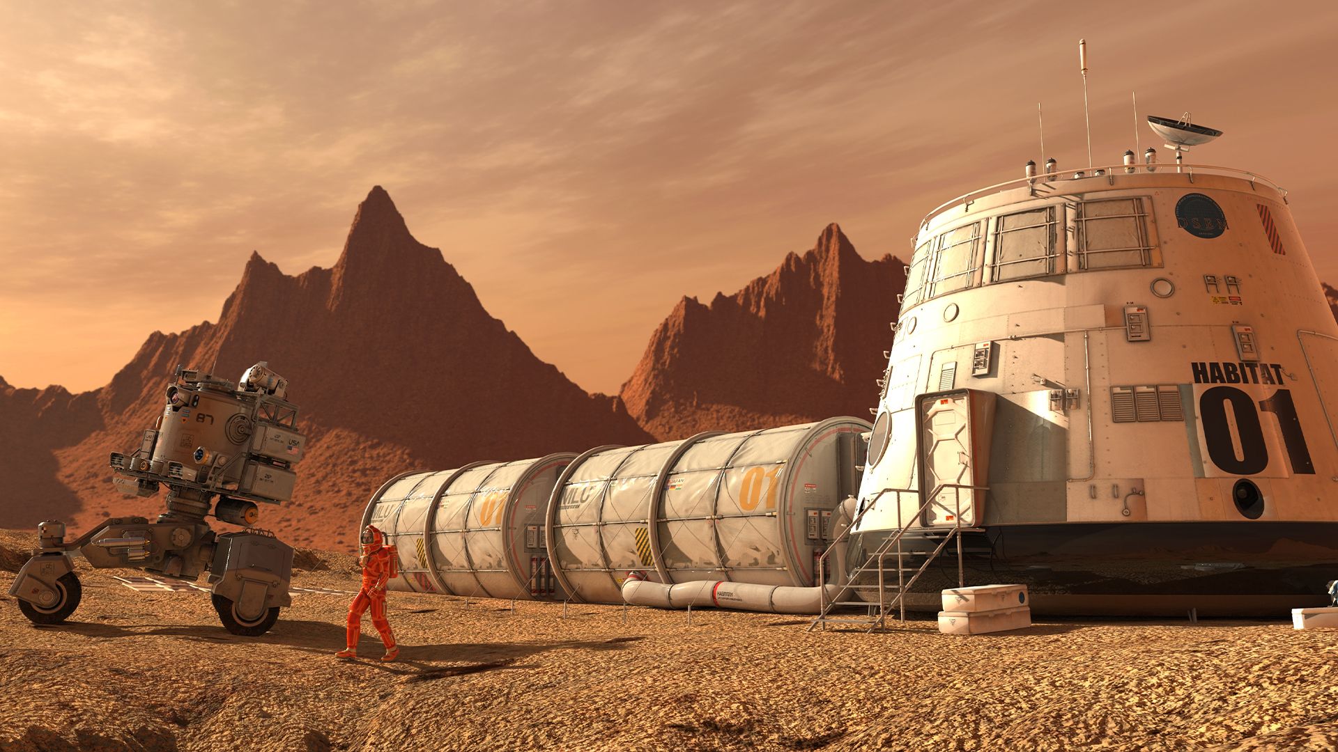 1920x1080 Which animals will be the first to live on the moon and Mars?