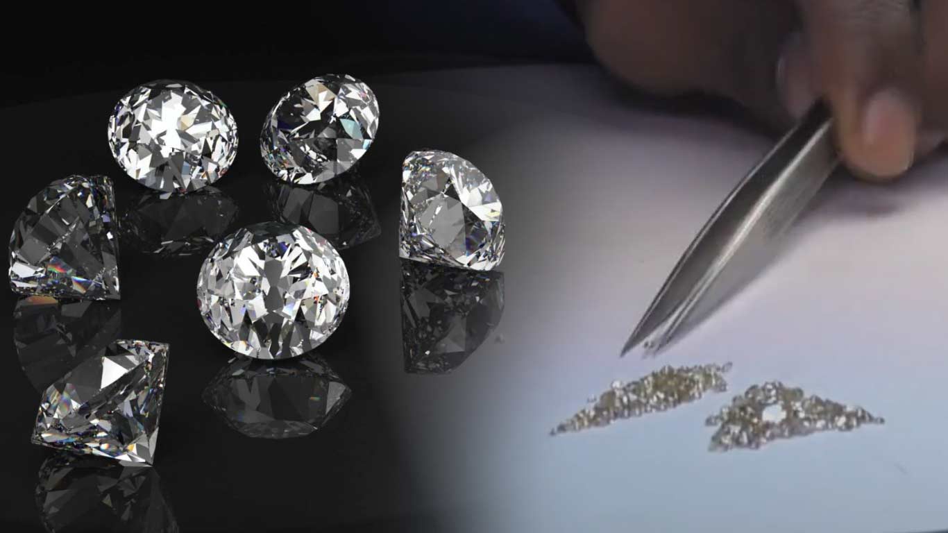 1366x768 Lab Grown Diamond Sector To Remain Self Regulated: Piyush Goyal