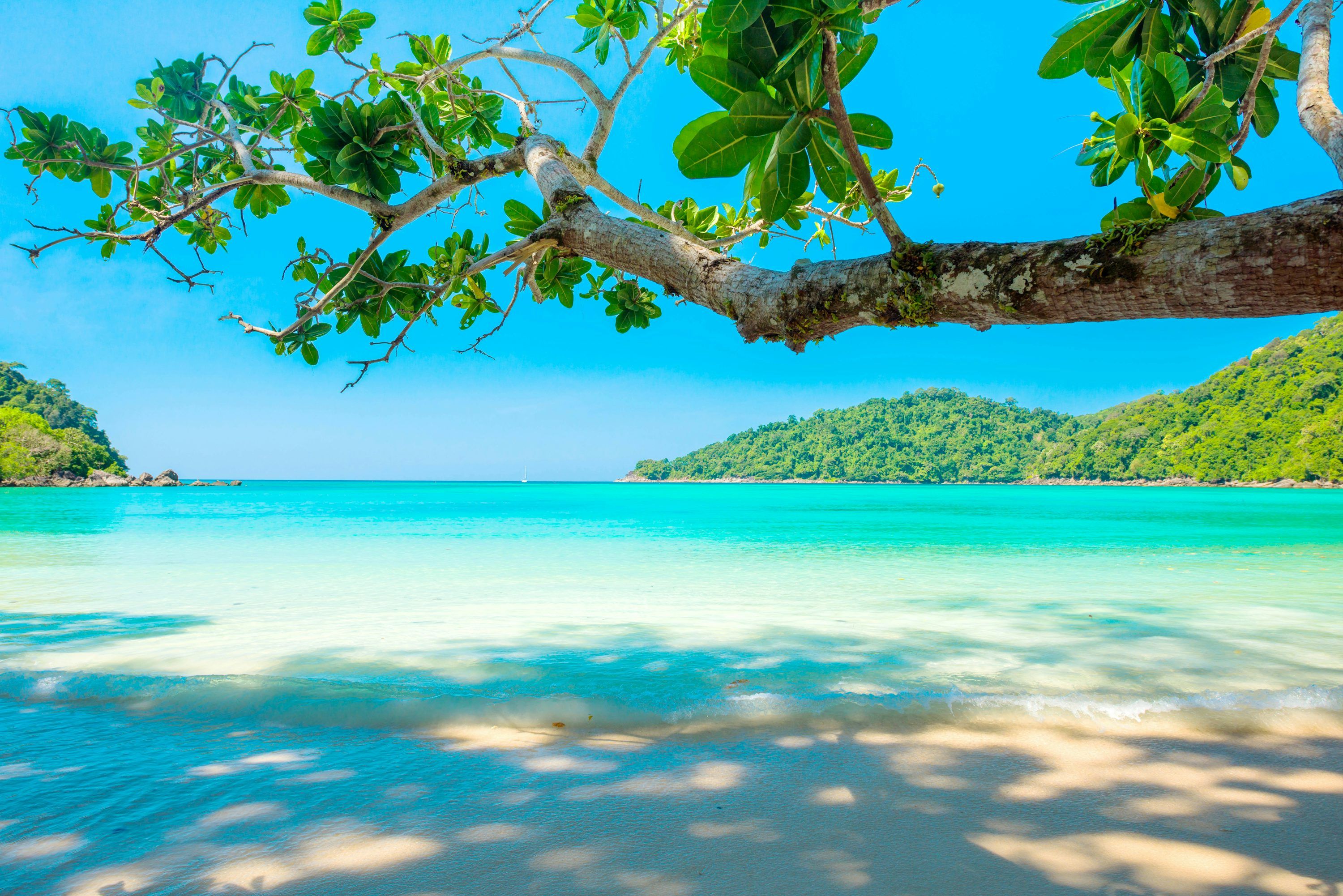 3000x2002 Tropical Ocean Picture. Download Free Image