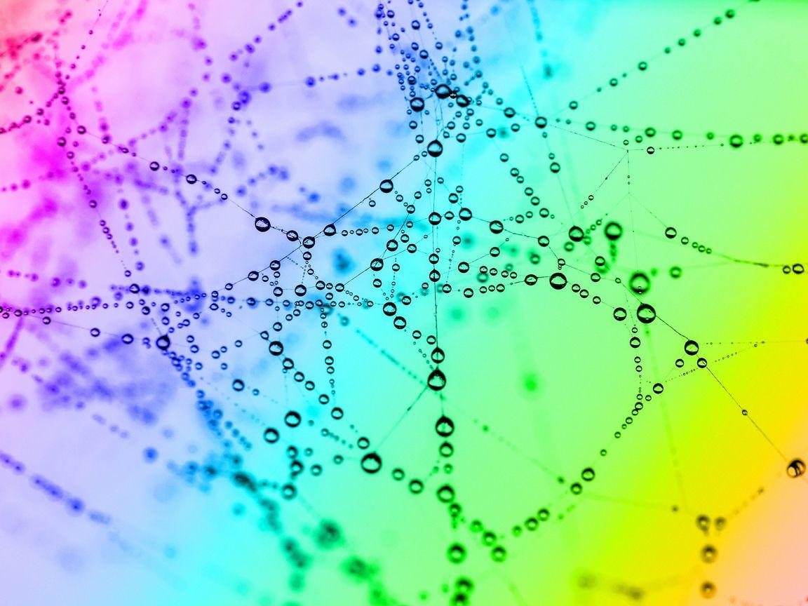 1152x864 Download wallpaper 1152x864 cobweb, drops, color, bright, macro