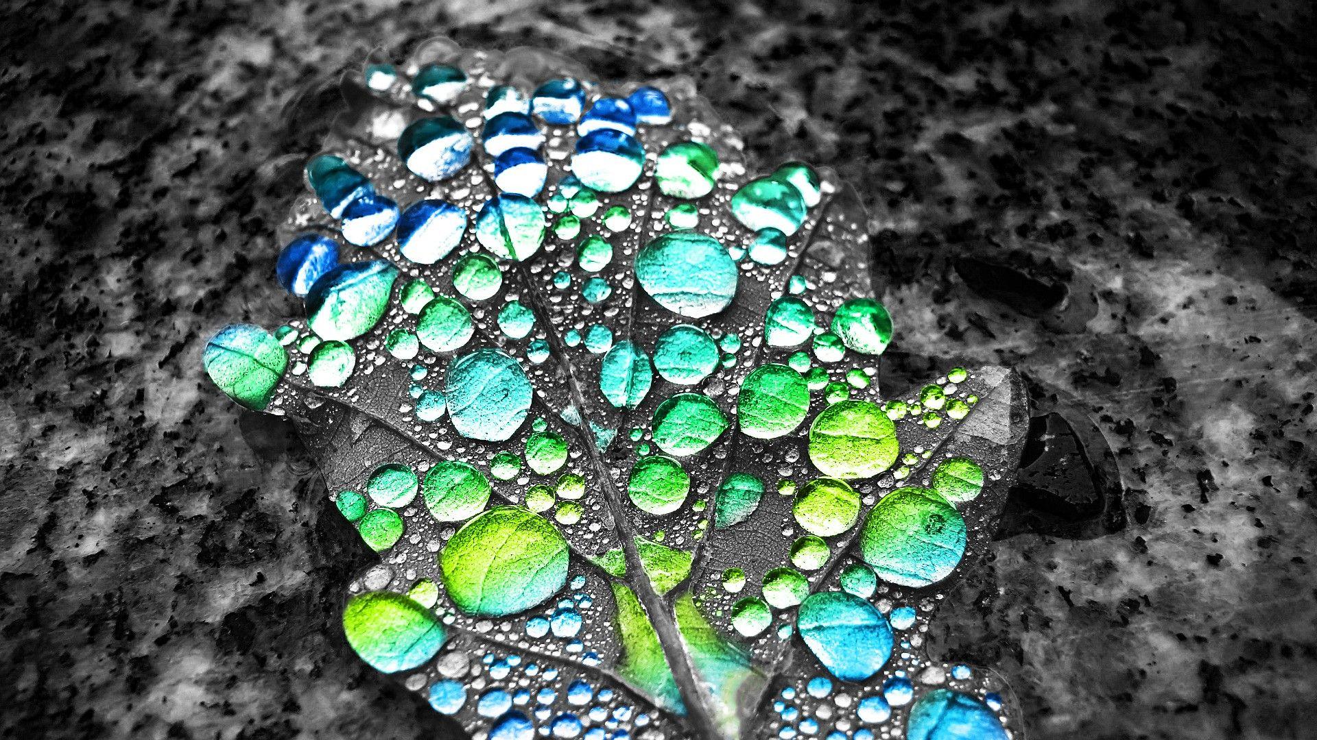 1920x1080 leaves, , digital art, water drops, selective coloring