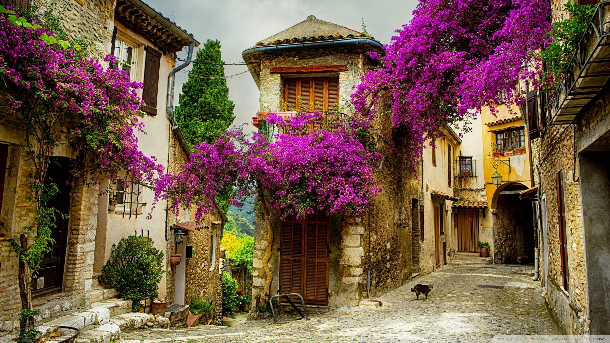 2048x1152 European Architecture 4K UHD Wallpaper for UltraHD Desktop and TV : Widescreen and UltraWide Display : Smartphone and Tablet Devices