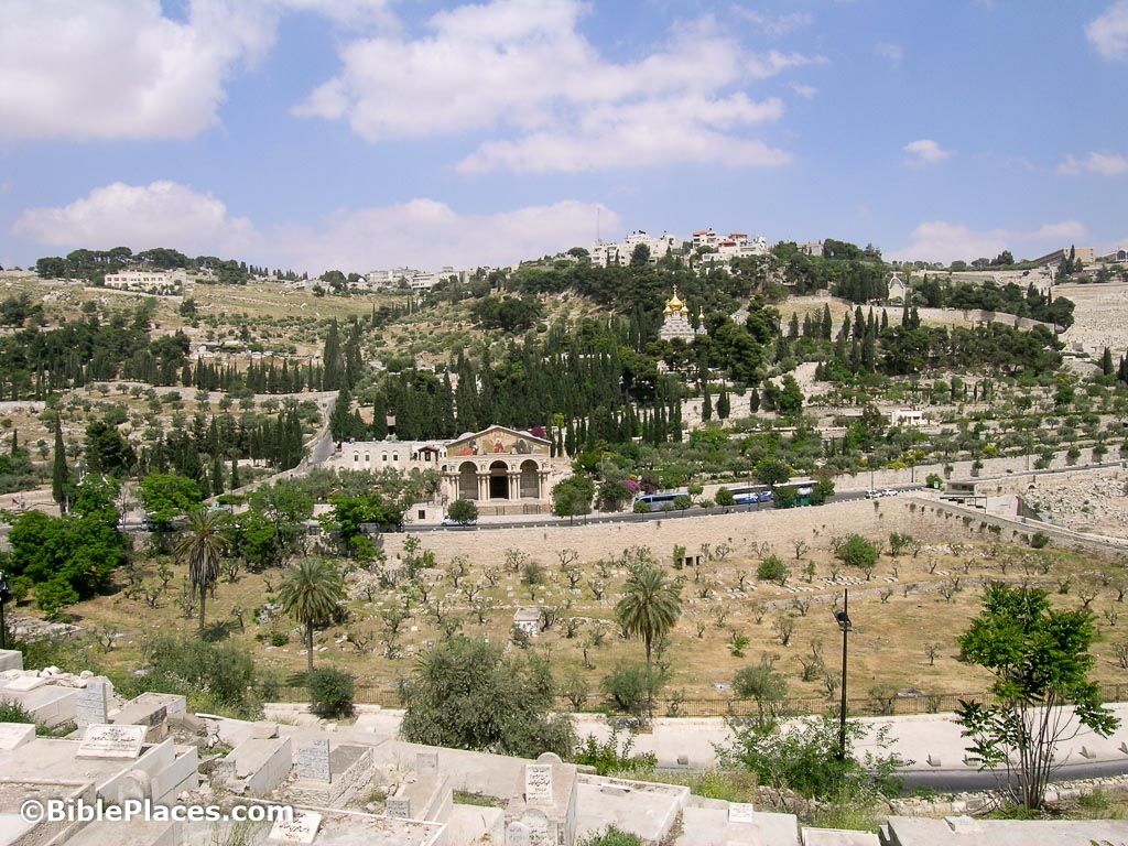 1024x768 Mount of Olives (BiblePlaces.com)