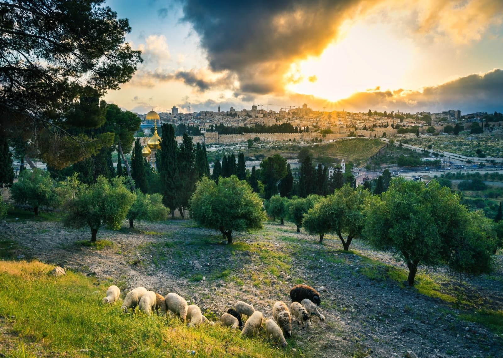 1600x1140 Amazon.com : BELECO 10x8ft Fabric Sunset View of Old City Jerusalem Backdrop Sheep Grazing on Mount of Olives, Dome of The Rock, Jerusalem Cityscape Background Israel Theme Party Decorations Religious Photo Props