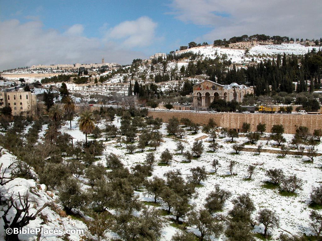 1024x768 Mount of Olives (BiblePlaces.com)