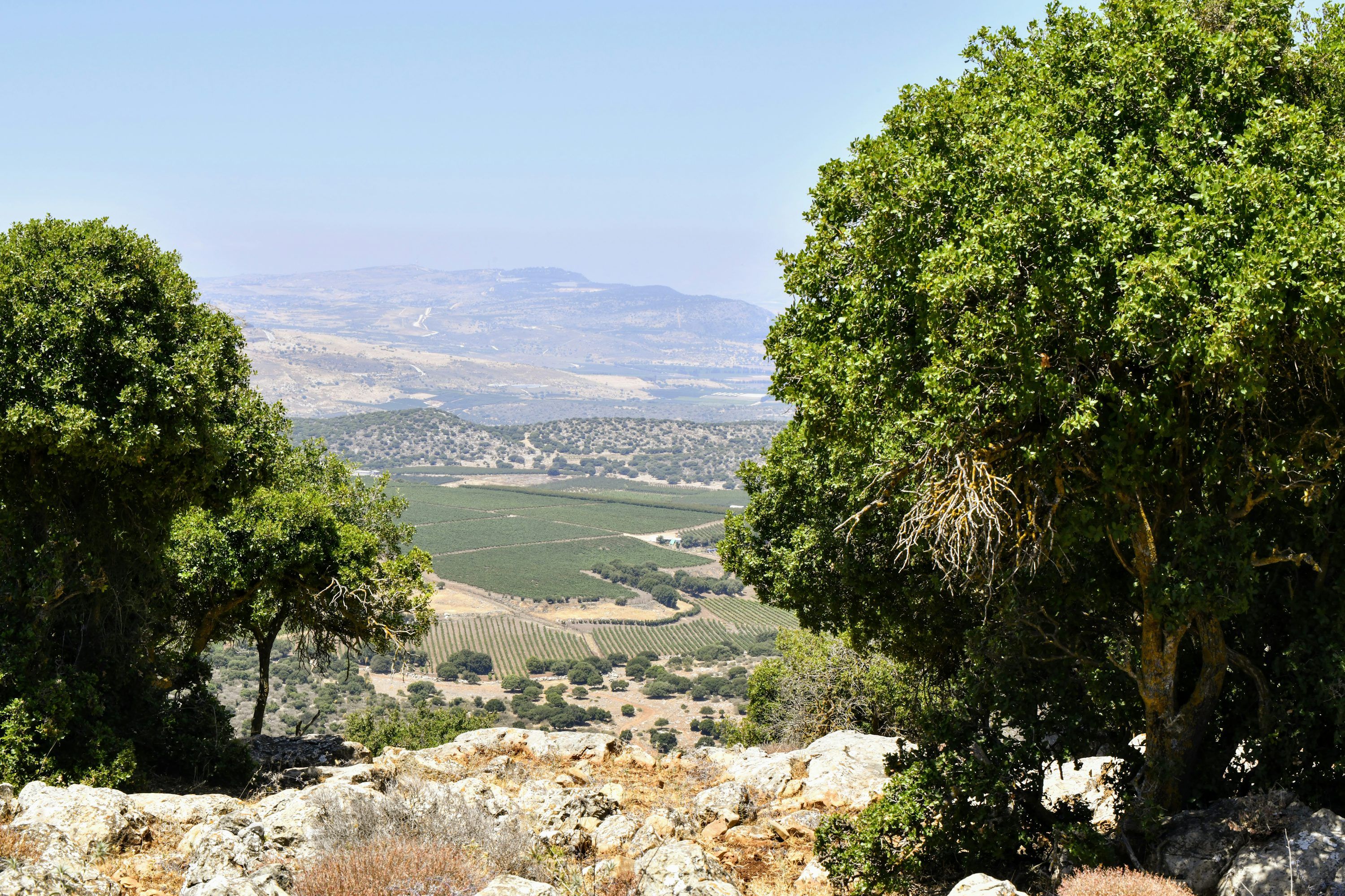3000x2000 Mount Of Olives Picture. Download Free Image