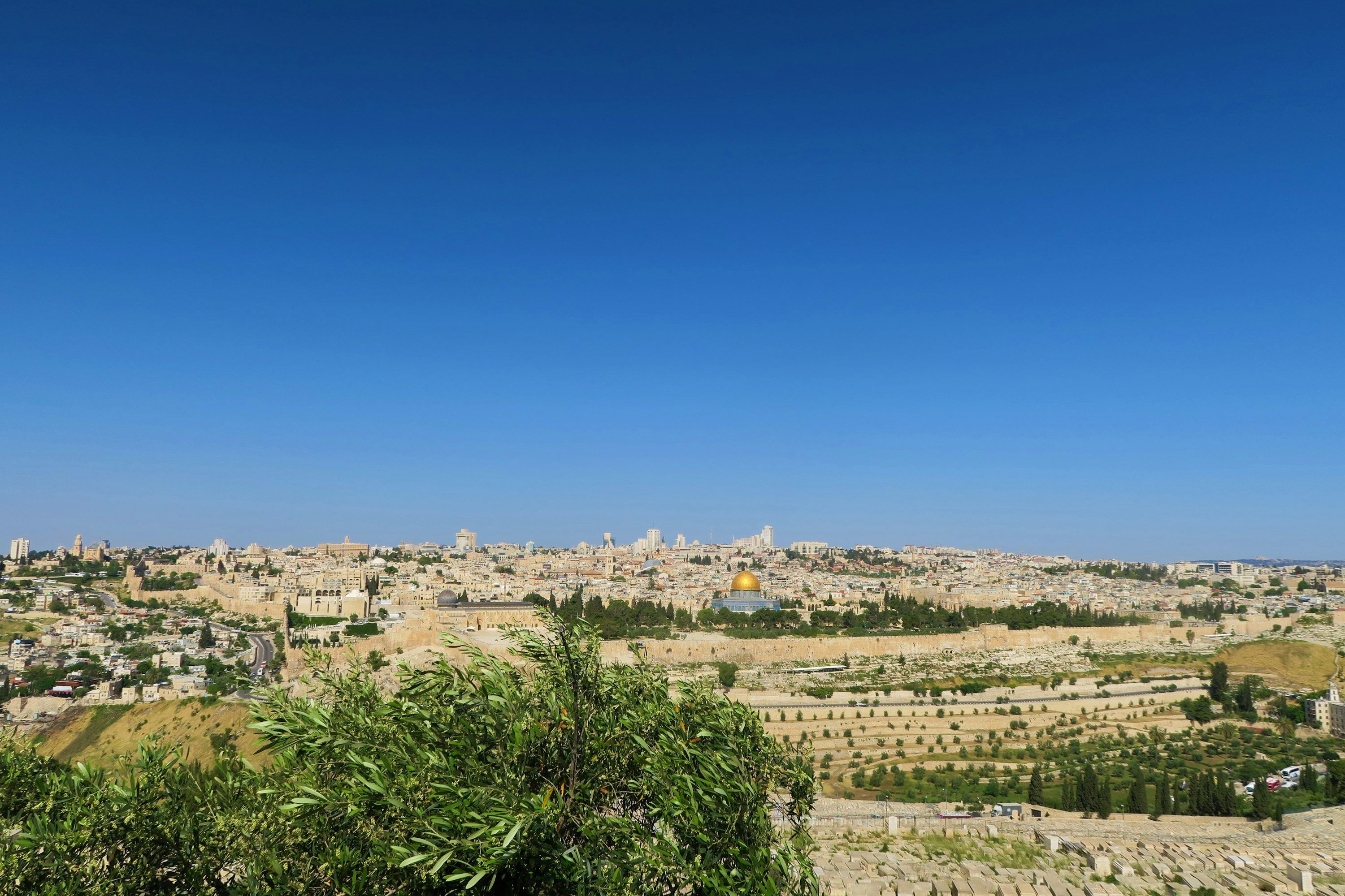 3000x2000 Mount Of Olives Picture. Download Free Image