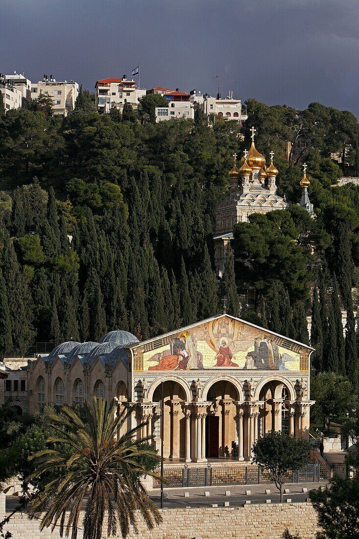 733x1100 Israel, Jerusalem, Gethsemani Basilica
