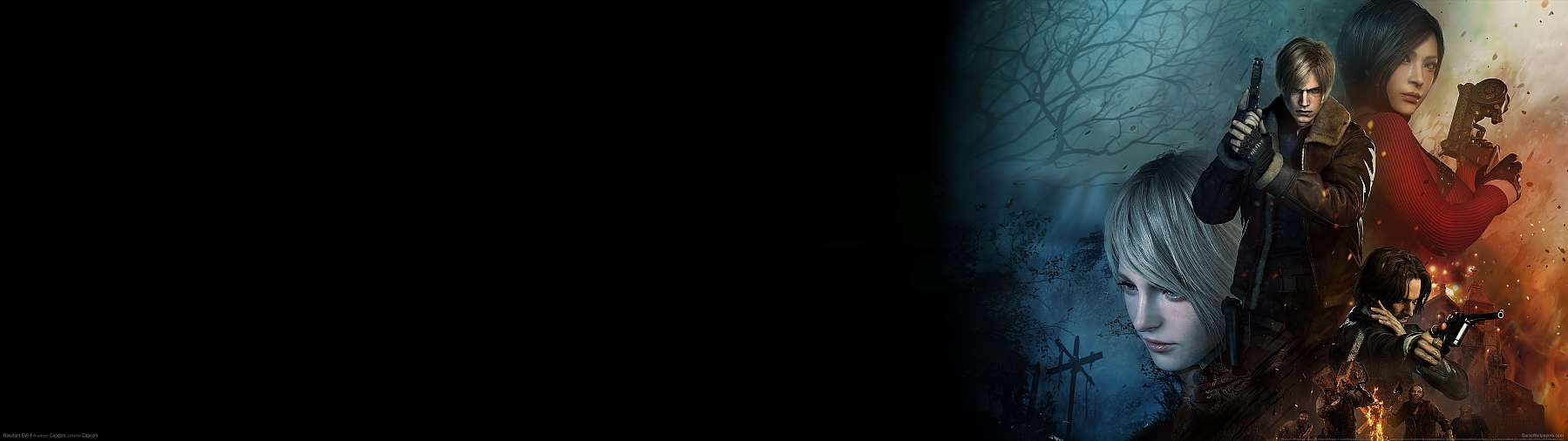 1799x506 