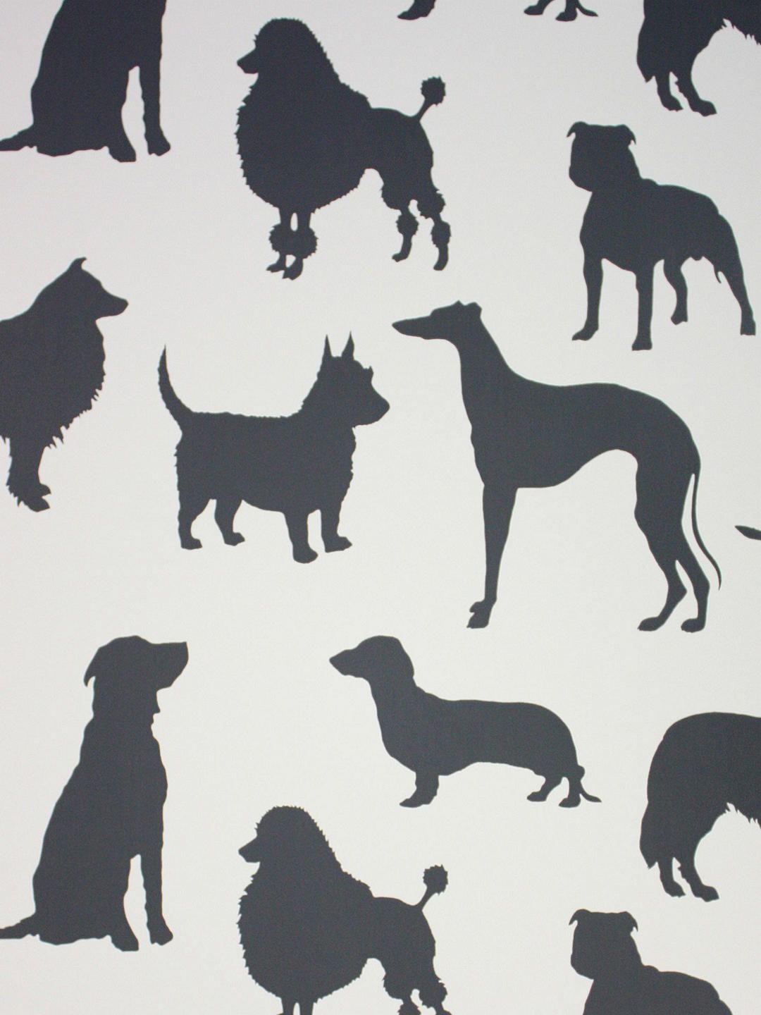 1080x1440 Osborne & Little in Show Wallpaper