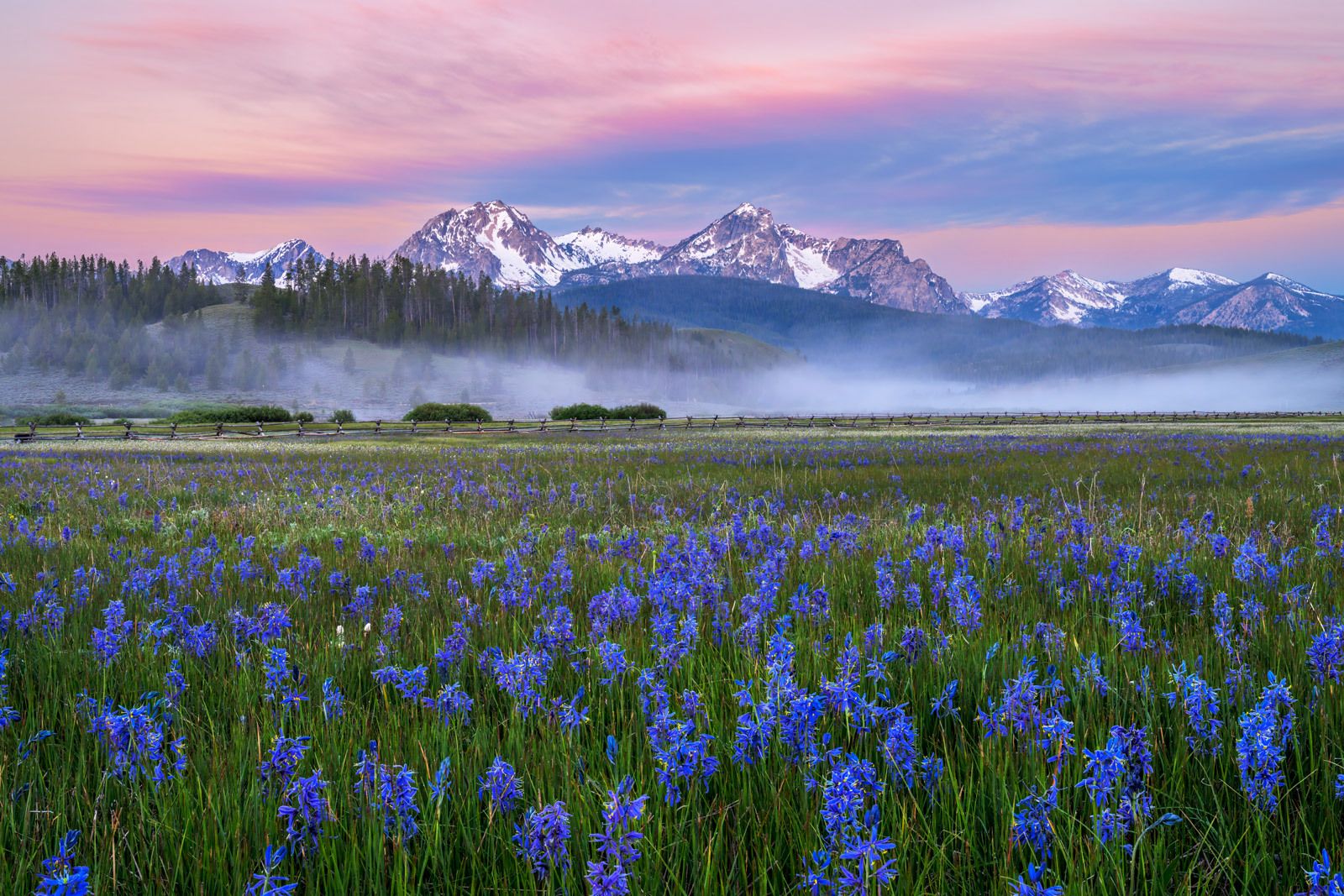 1600x1067 Free HD Field Mountain Landscape View Wallpaper