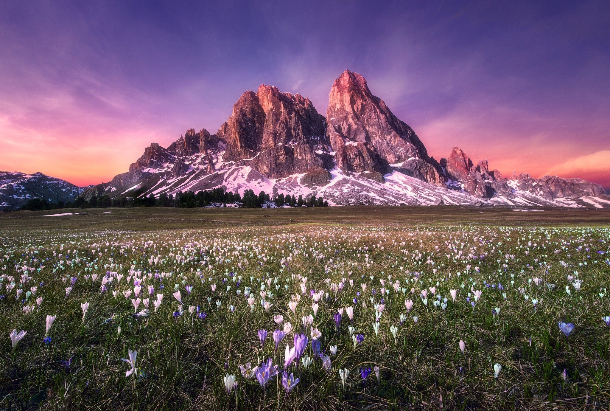 2048x1379 Mountain Field Wallpaper 2048x1379 56795