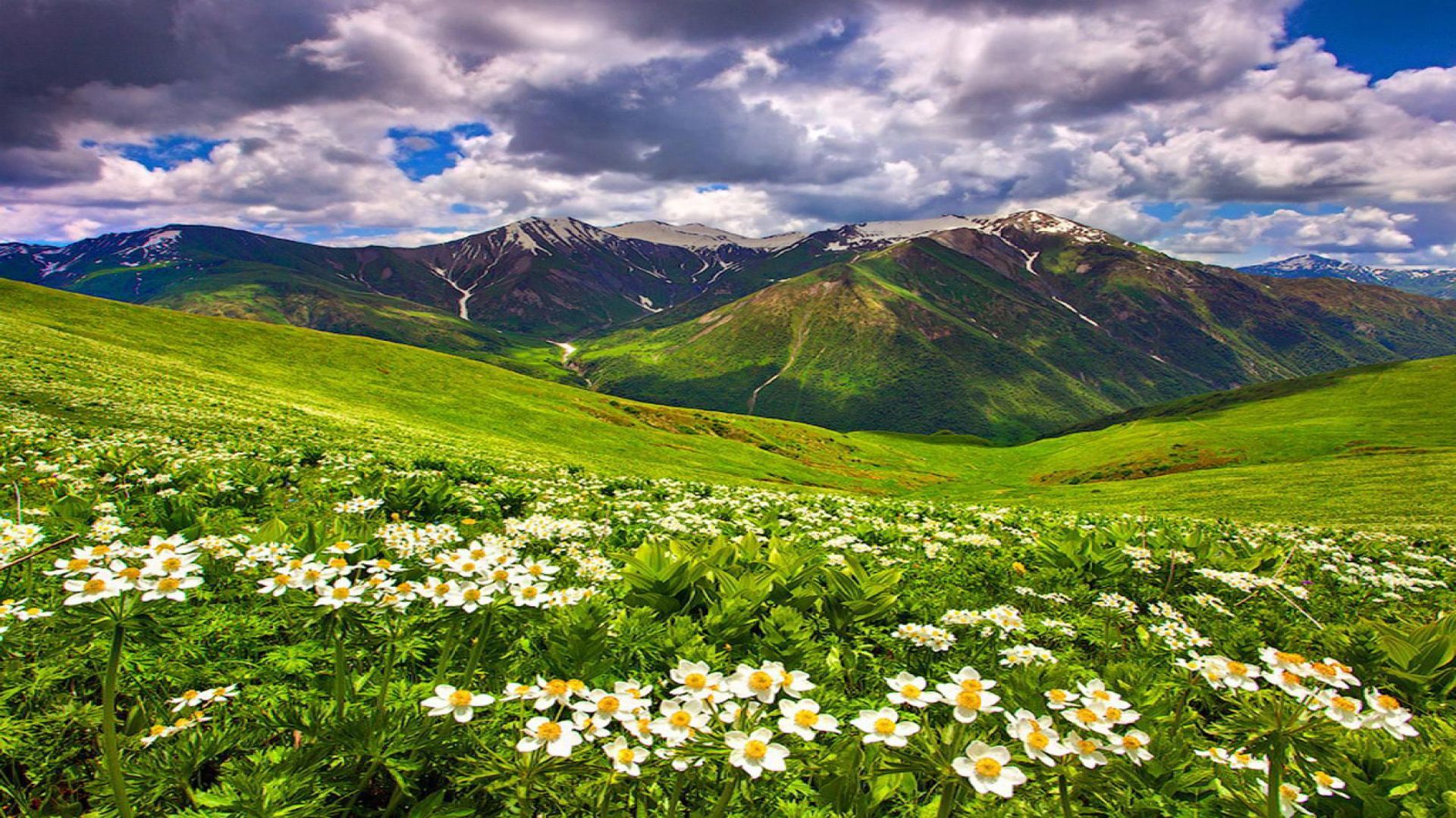 1920x1080 Fields With Mountain Wallpaper