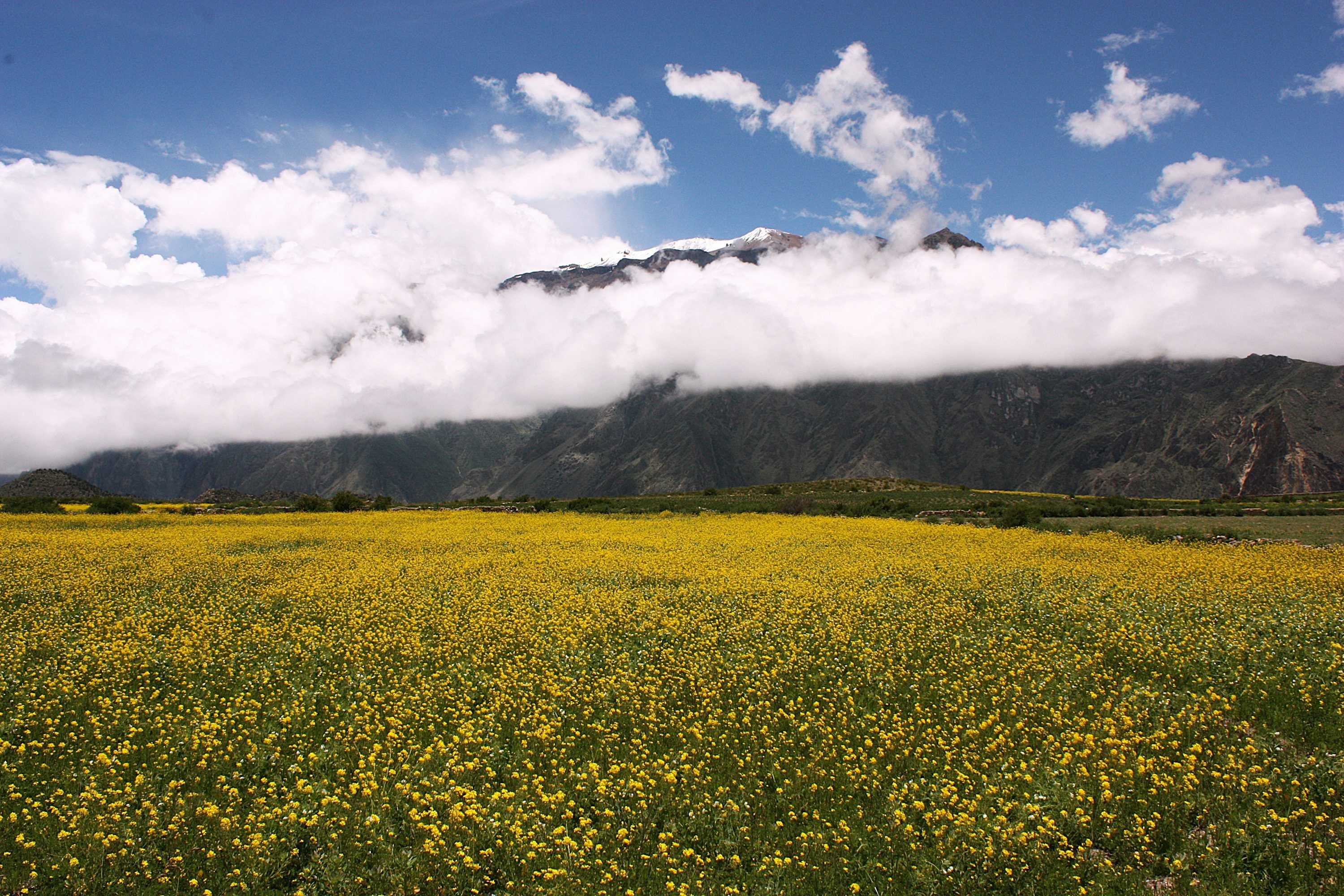 3000x2000 Mountain Field Picture. Download Free Image