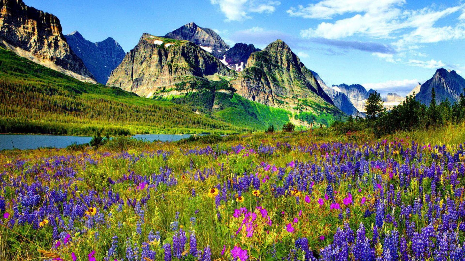 1920x1080 Landscape Of Green White Covered Mountains And River Between Grass Covered Slope And Colorful Flowers Field HD Nature Wallpaper