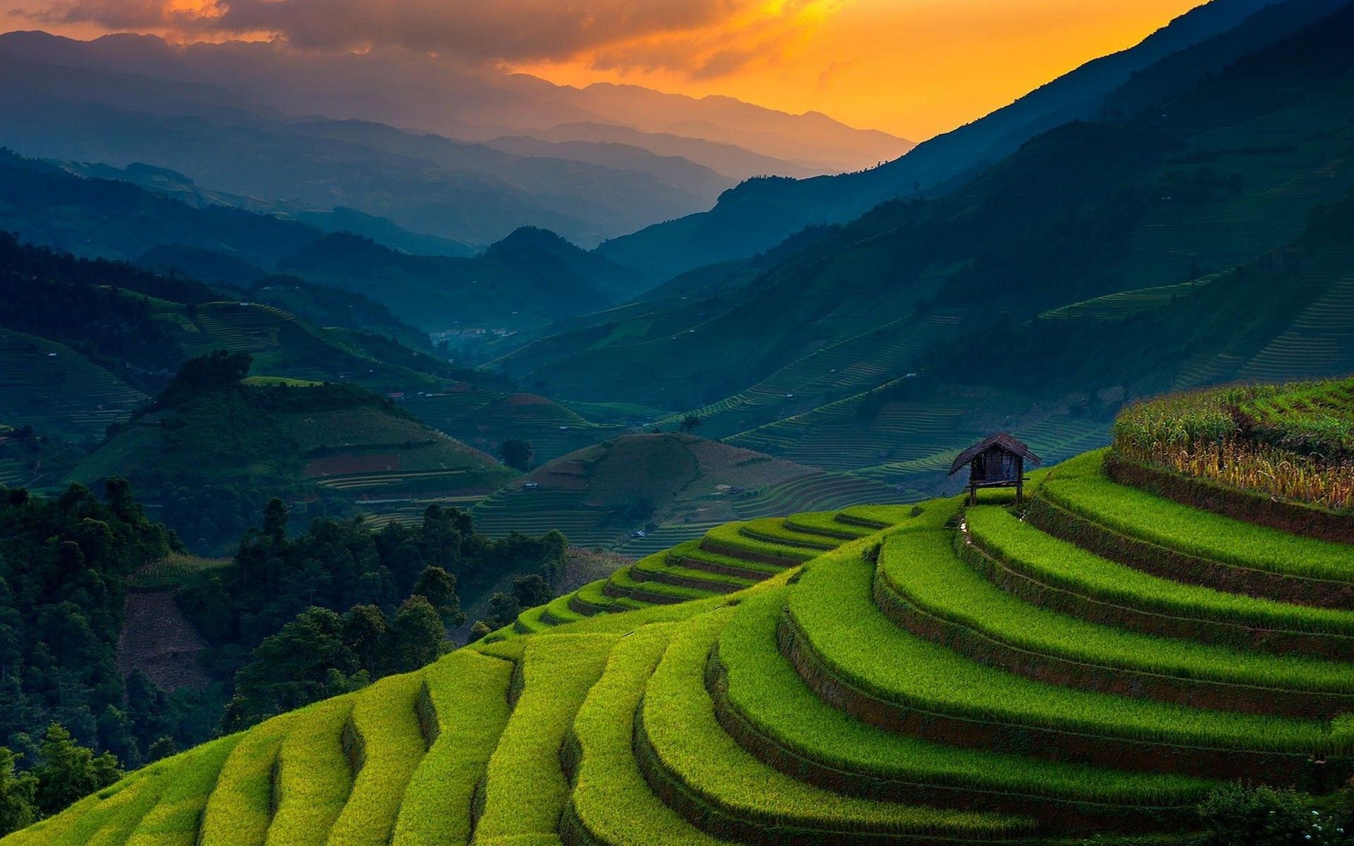 1920x1200 Mountain Field Wallpaper 1920x1280 56804