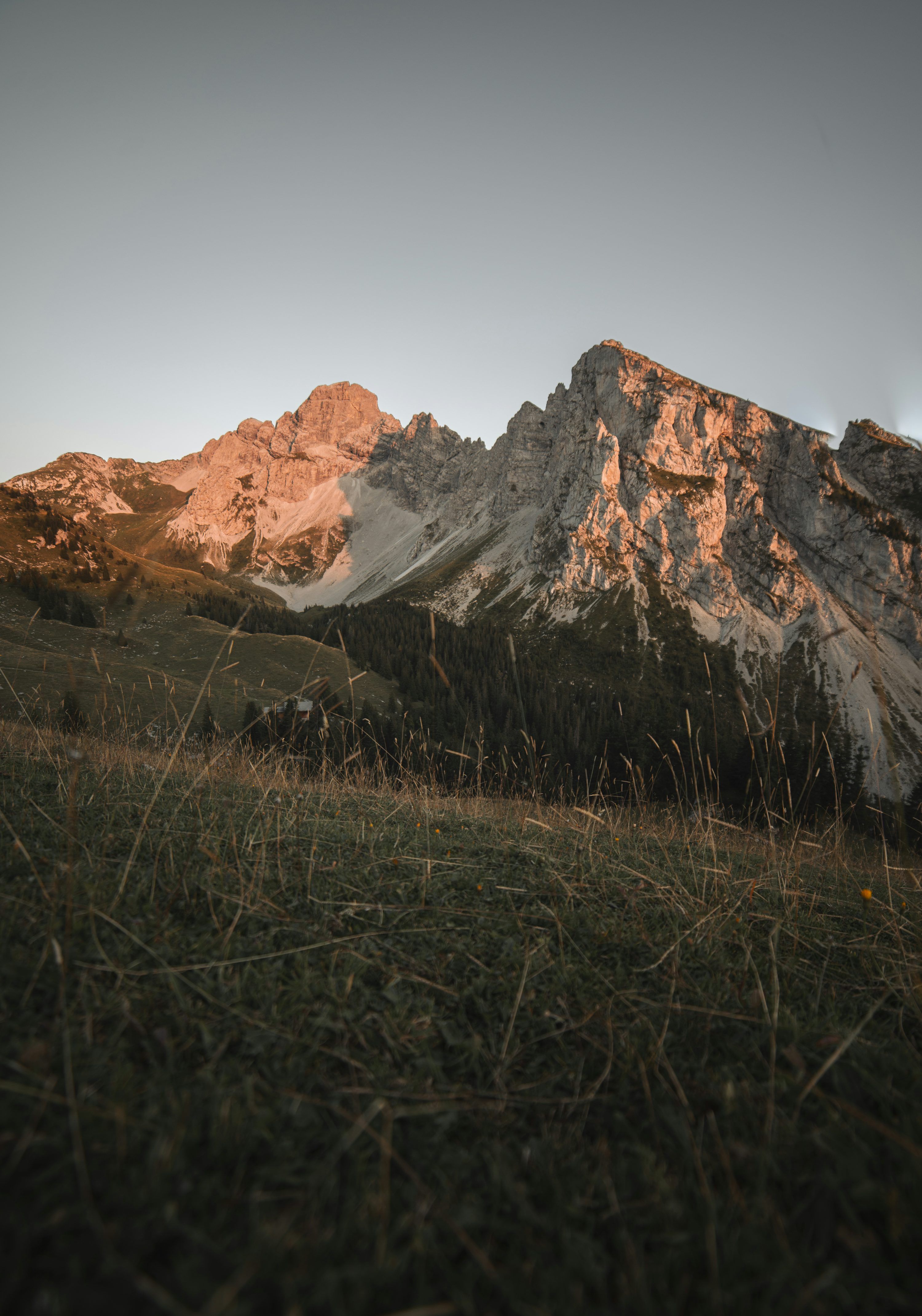 3000x4283 A grassy field with a mountain in the background photo