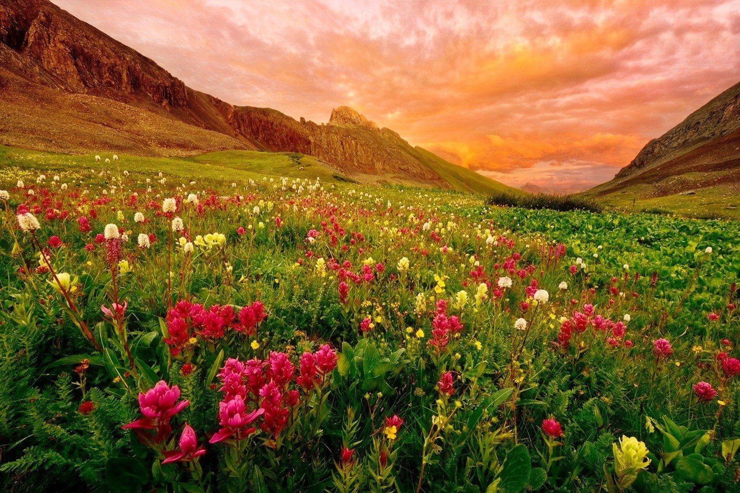 1500x1001 Download Cloud Sunset Flower Field Mountain Nature Landscape Wallpaperx1001