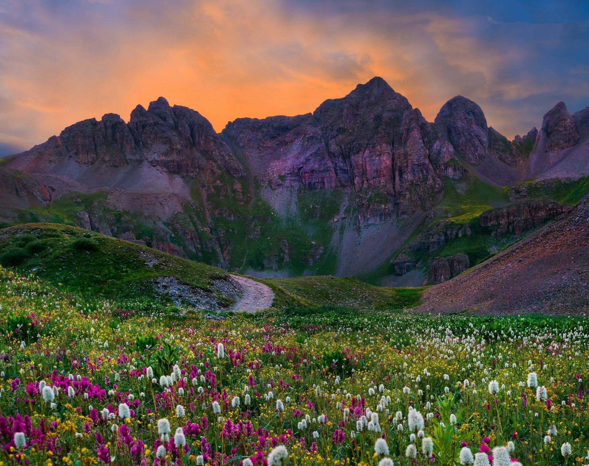 1920x1520 Download Grass Field Flower Mountain Nature Landscape HD Wallpaperx2375