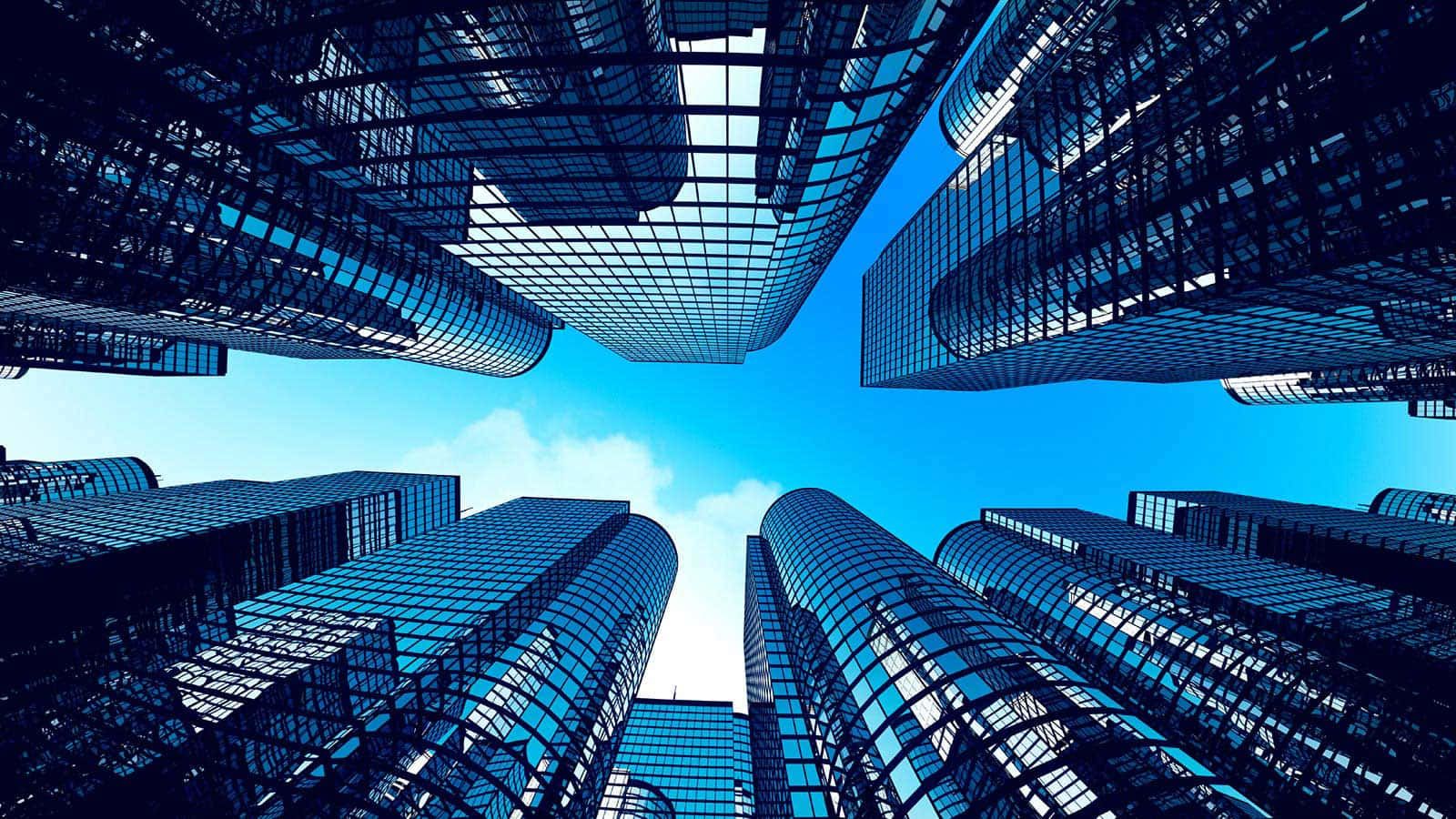 1600x900 Download Confident investors analyzing financial growth