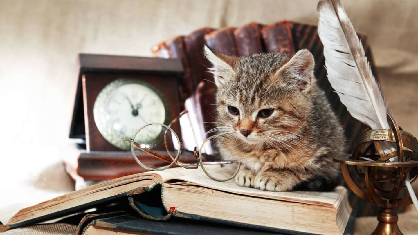 1440x810 Writers Who Really Loved Cats