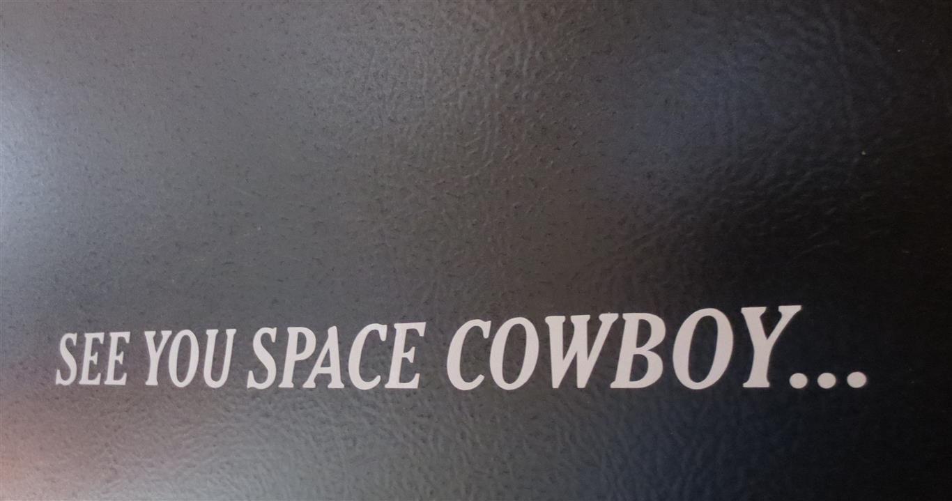 See you space cowboy anime bang cowboy bebop space cowboy spyke HD  phone wallpaper  Peakpx
