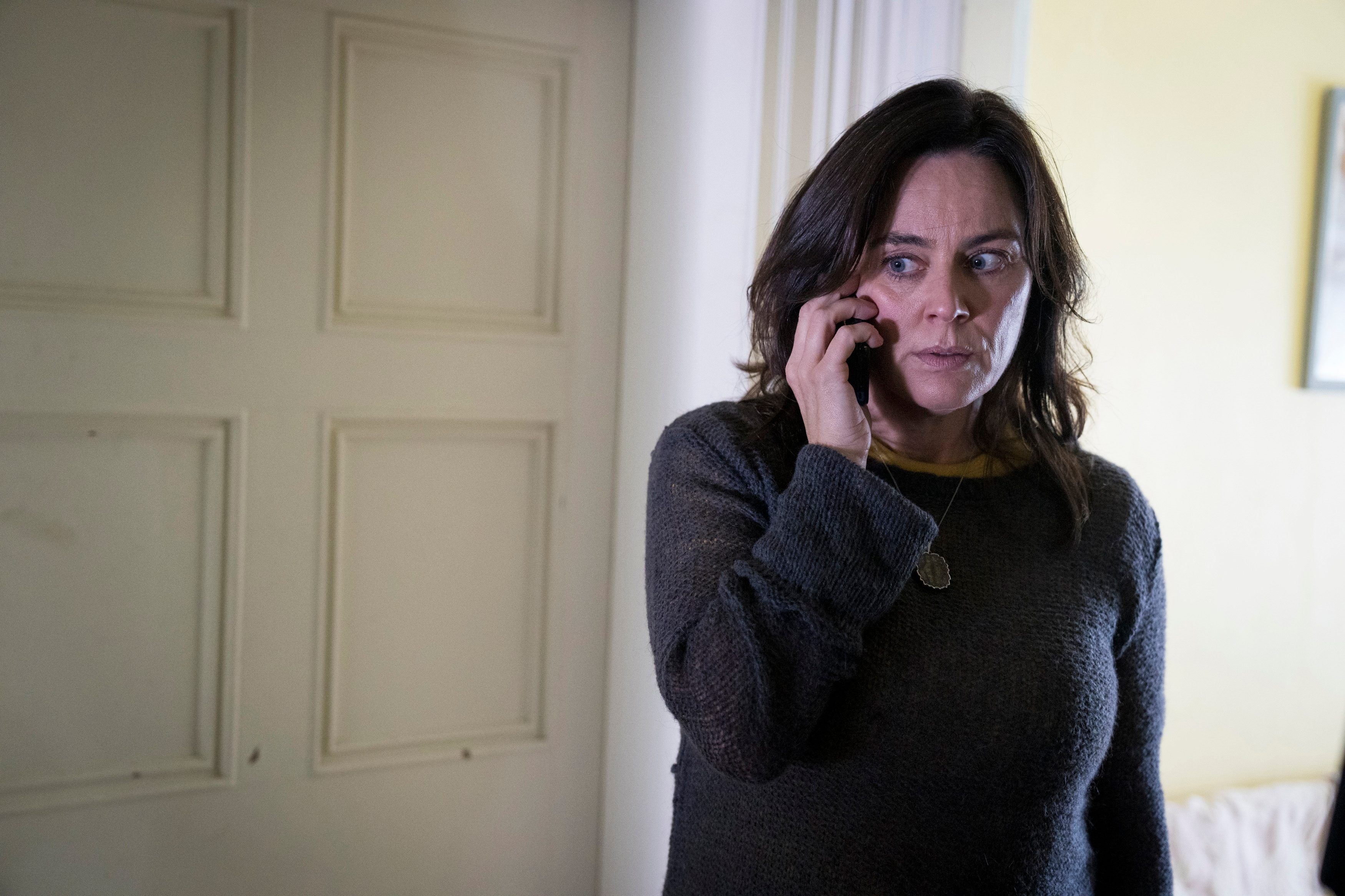 3500x2333 The Cuckoo ending explained. What happened to Sian?