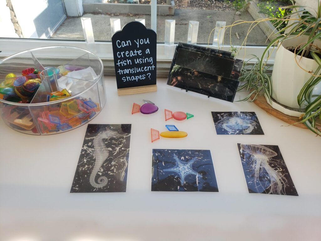1024x768 Reggio Emilia Project: Oceans. Children's Discovery Center