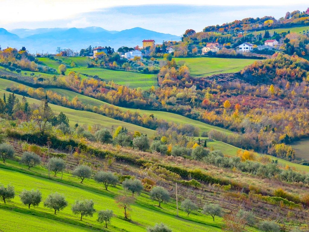 1024x768 Reggio Emilia