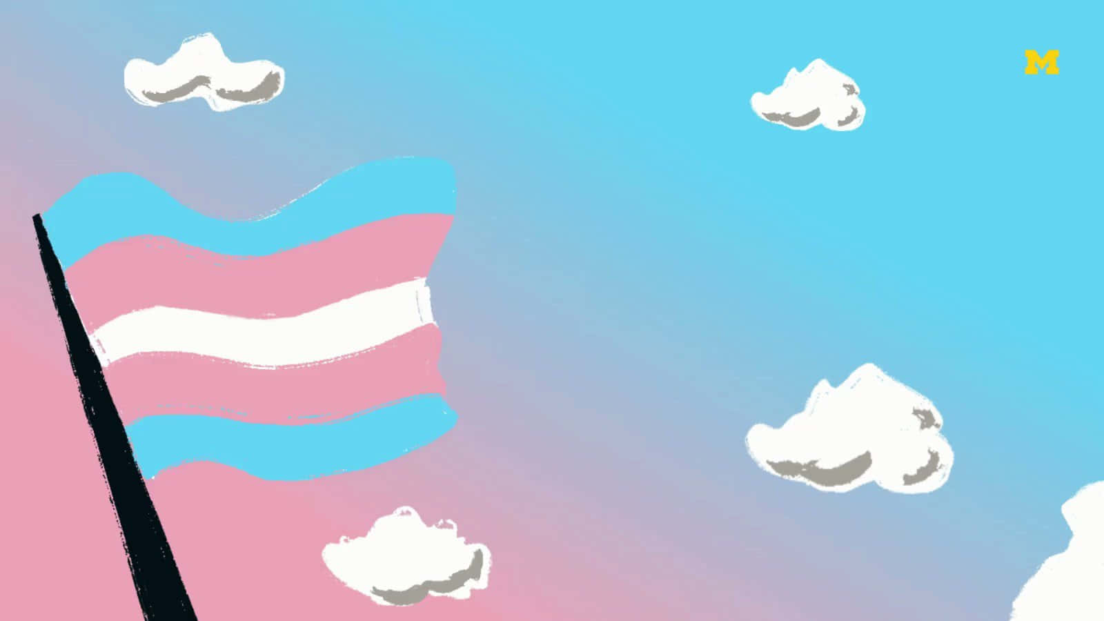 1600x900 Download Aesthetic Transgender Pride Flag Waves in the Wind