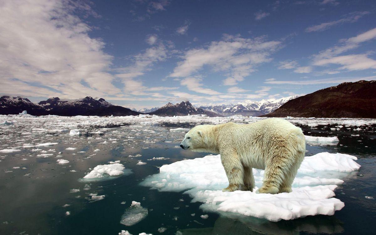 1200x750 One look at this visualization will make you a climate change