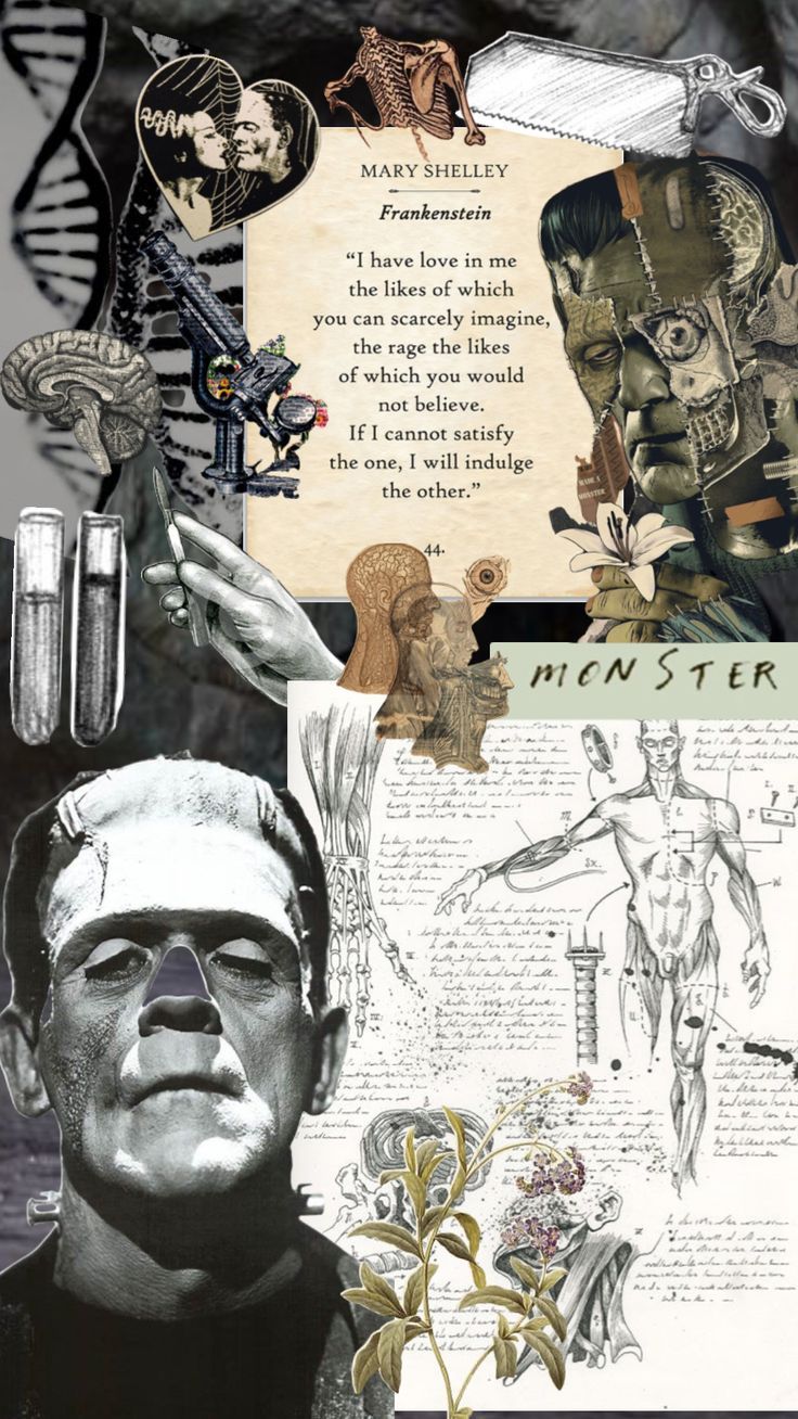 736x1308 Frankenstein Mary Shelley Wallpaper