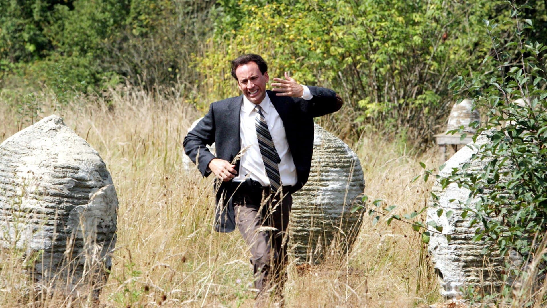 1920x1080 The Wicker Man Playing In Theater