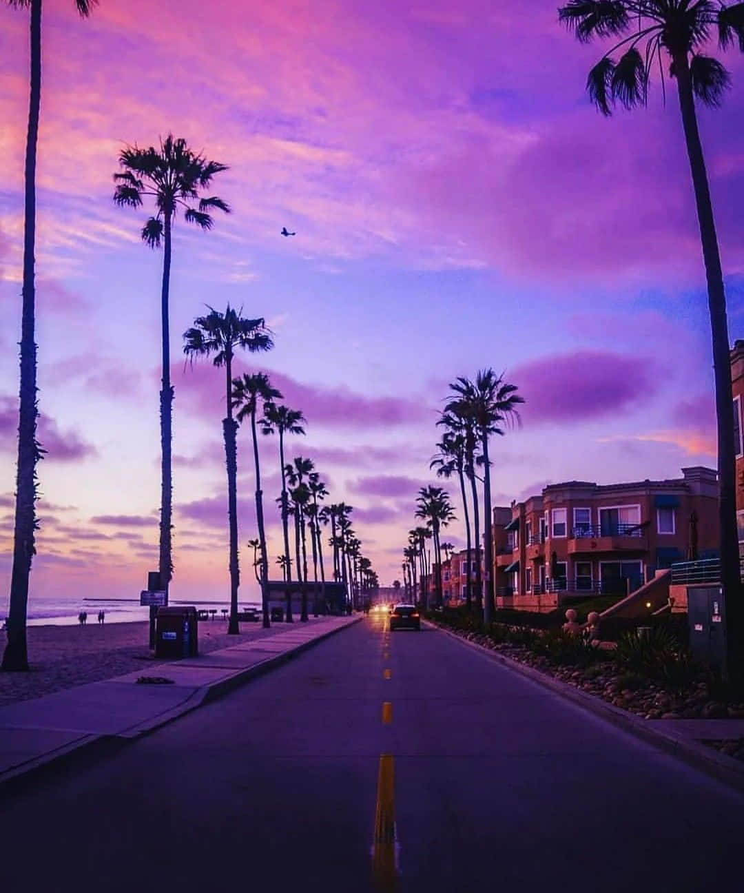 1080x1296 Download Enjoy the Vibrant Colors of Retro Miami Wallpaper