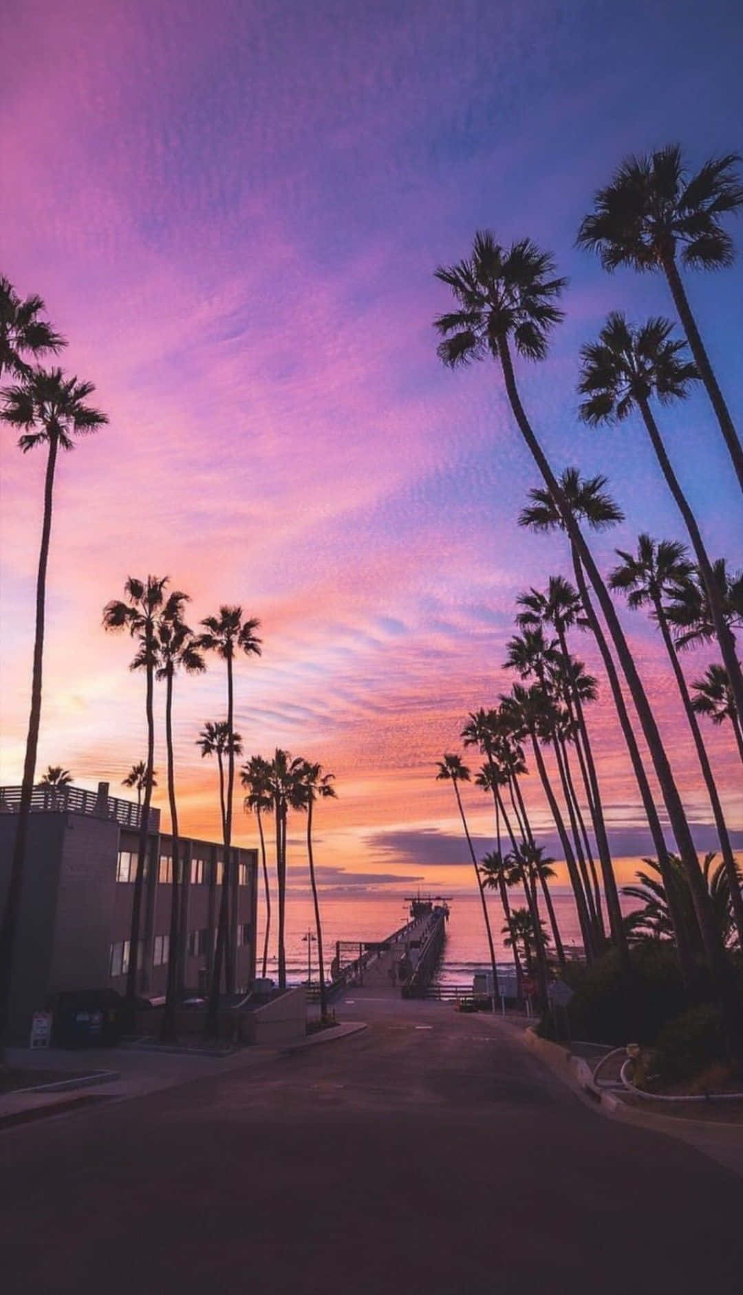 1080x1882 Download Feel the Vibe of Retro Miami Wallpaper