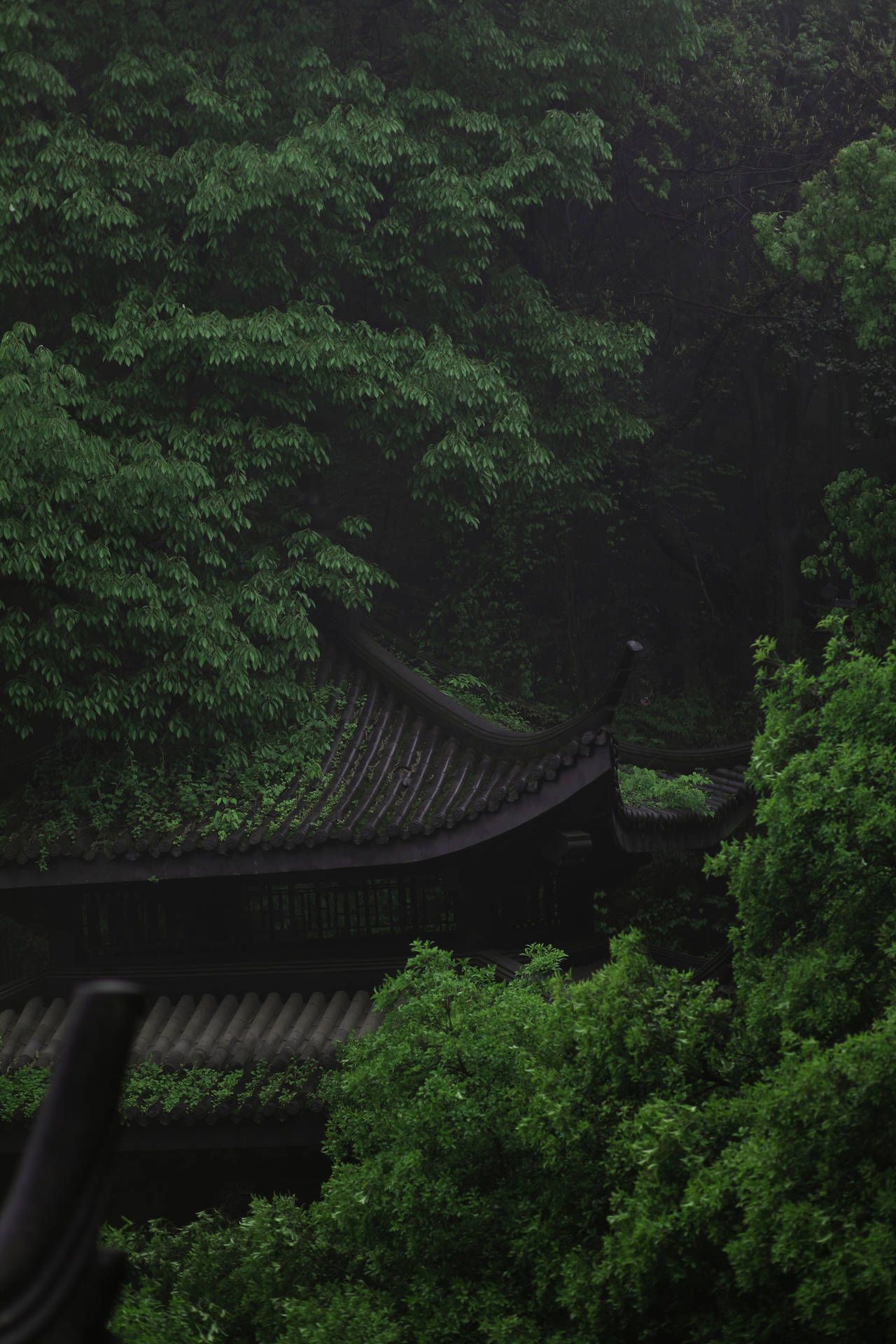 1280x1920 Download Chinese Pagoda Among Greenery Wallpaper