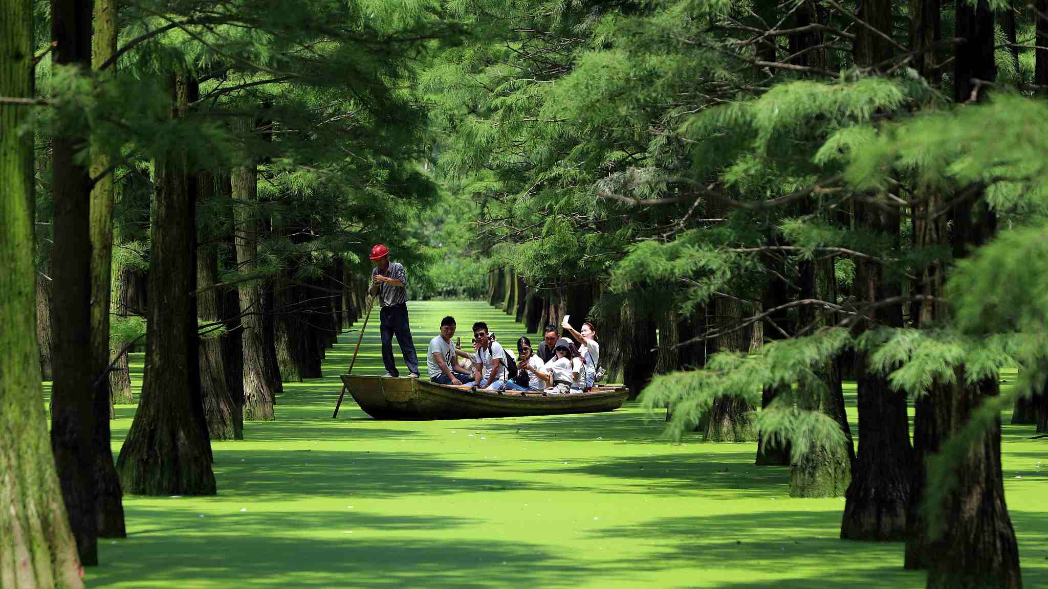 2048x1152 Rowing through China's forest above water