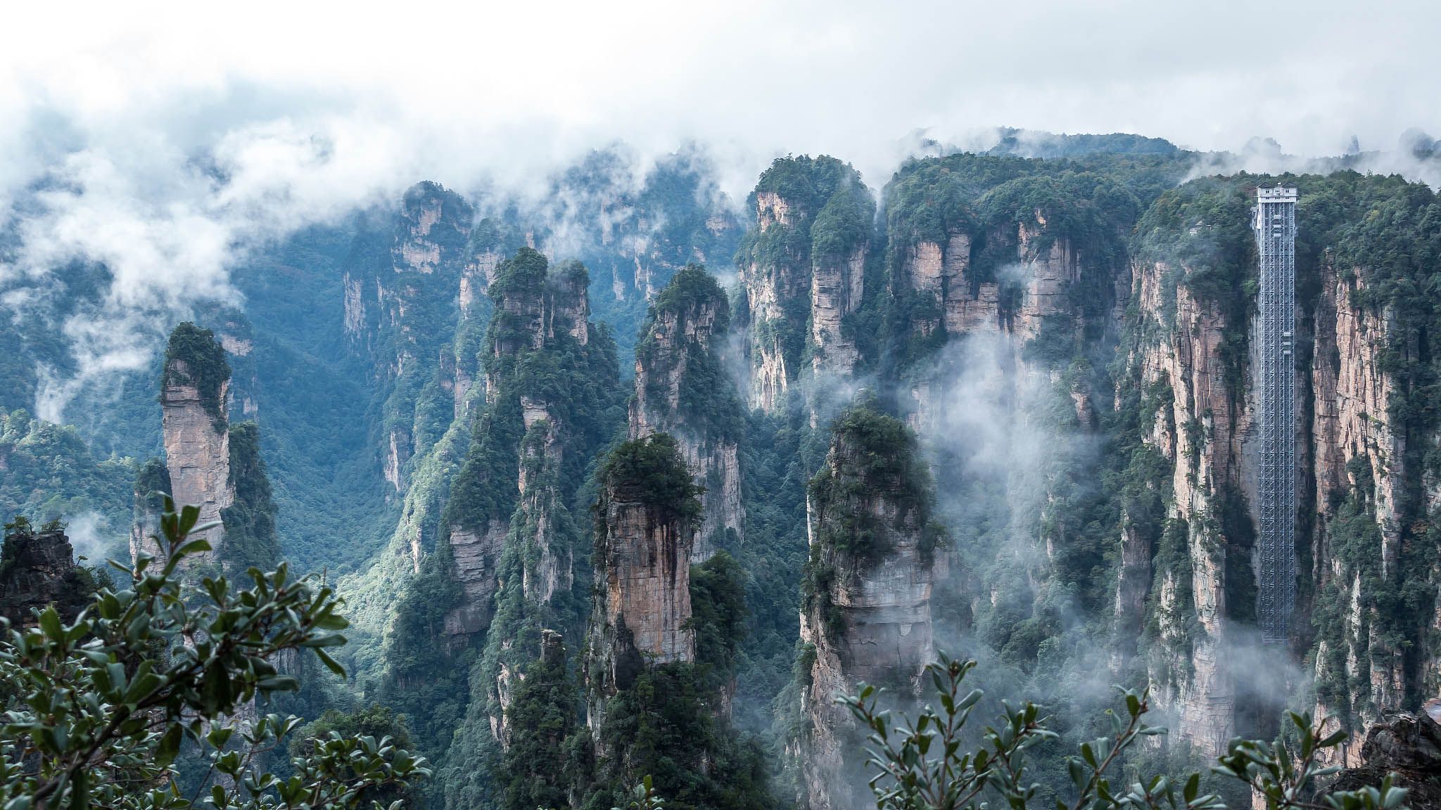 2048x1152 International Day of Forests: Exploring China's national forest parks