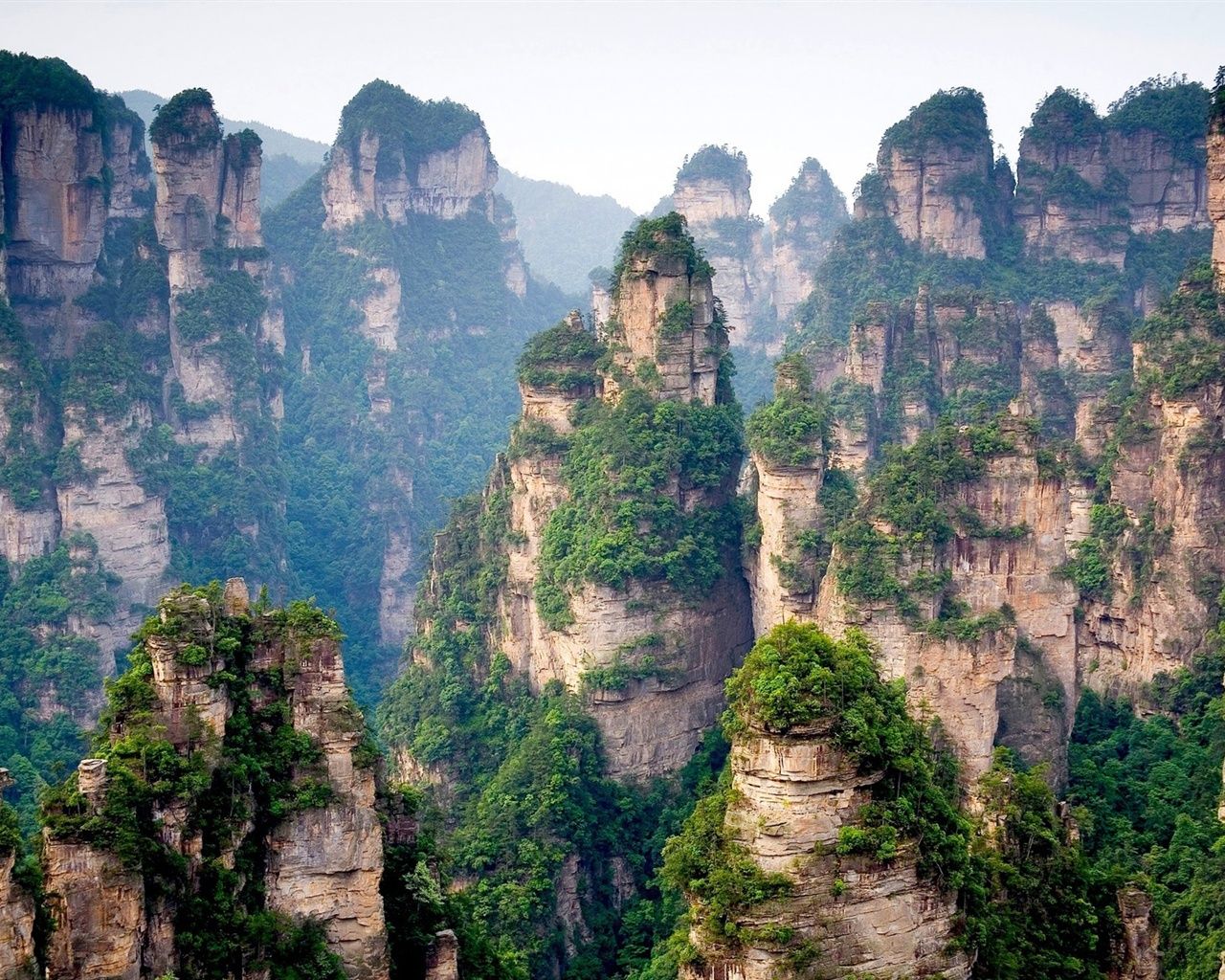 1280x1024 Chinese Mountain Cliff Top Forest Trees 640x1136 IPhone 5 5S 5C SE Wallpaper, Background, Picture, Image